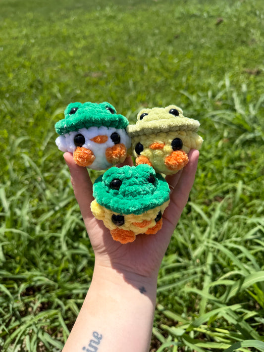 Mini Chicks in Frog Hats