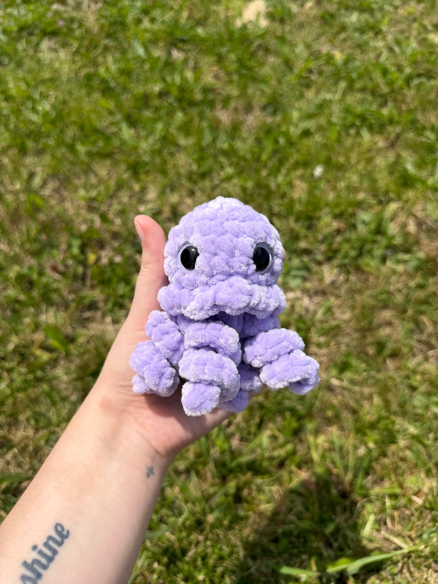 Jellyfish