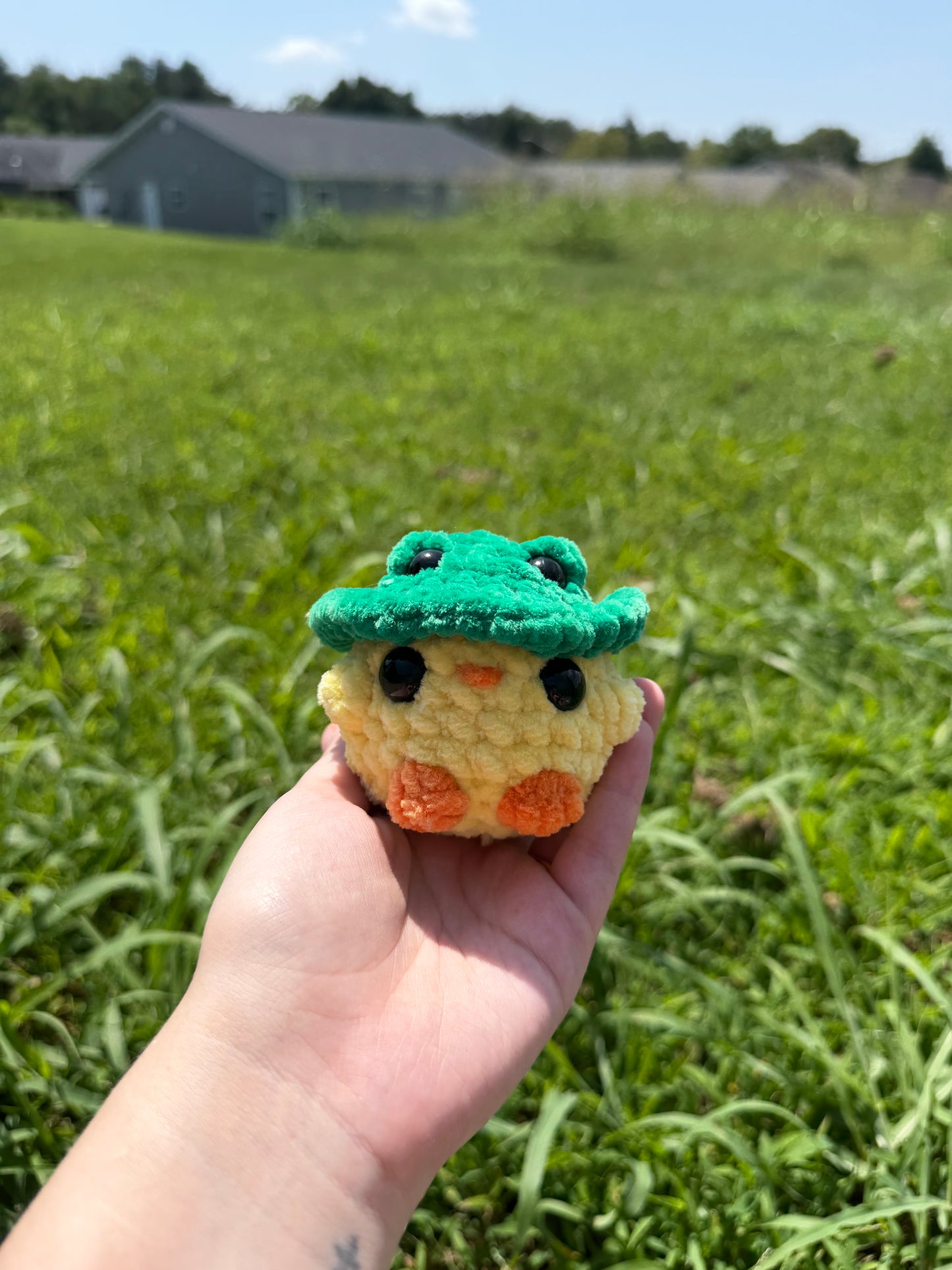 Chicks in Frog Hats