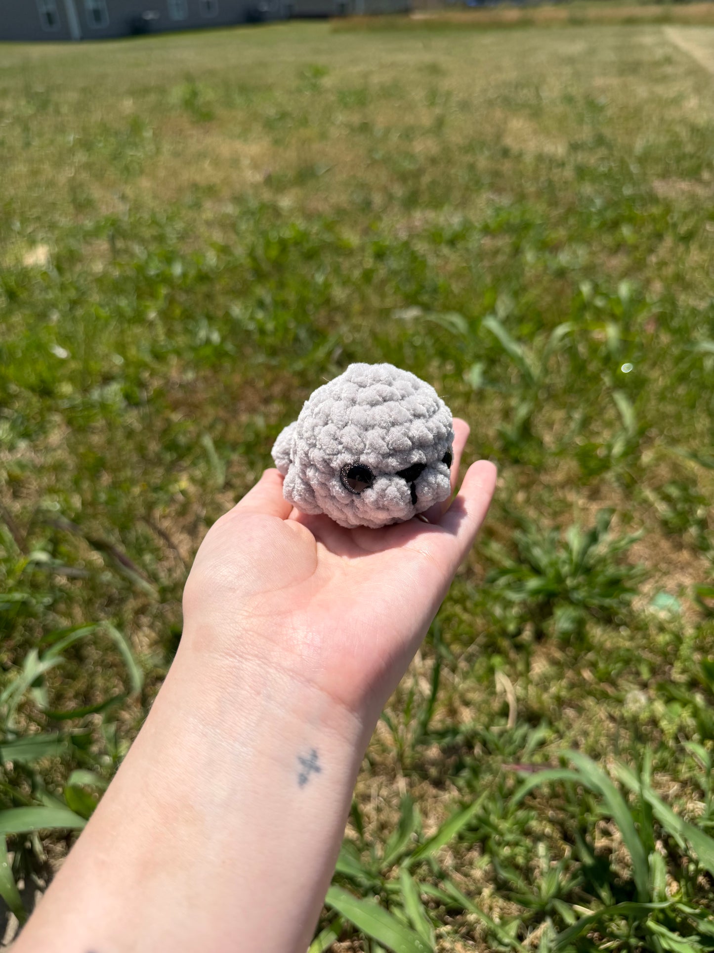 Mini Seals