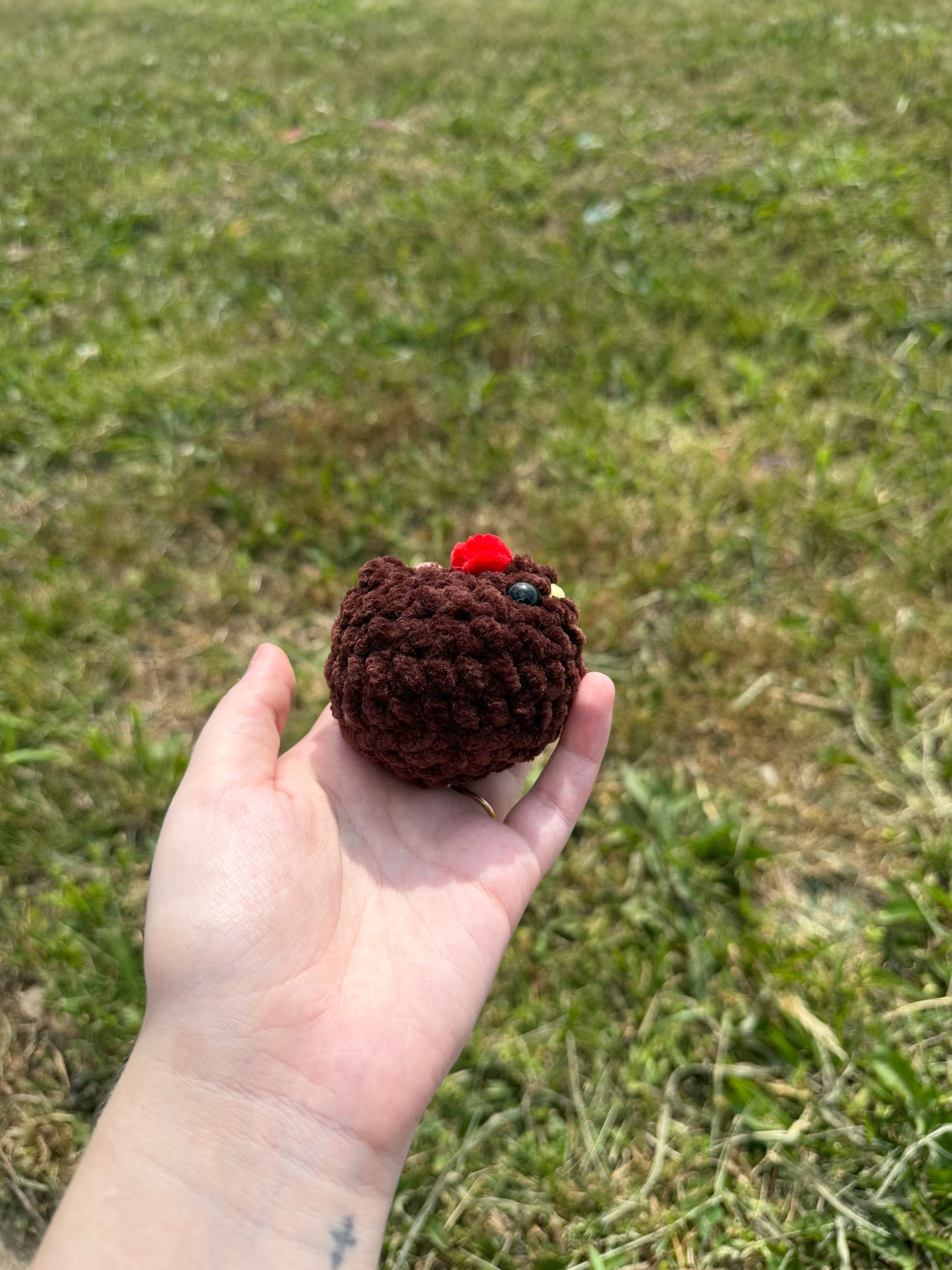Mini Chickens