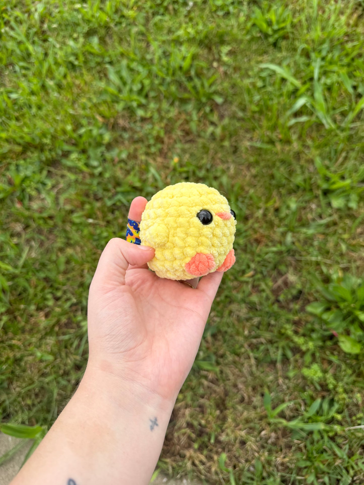 Yellow Chicks