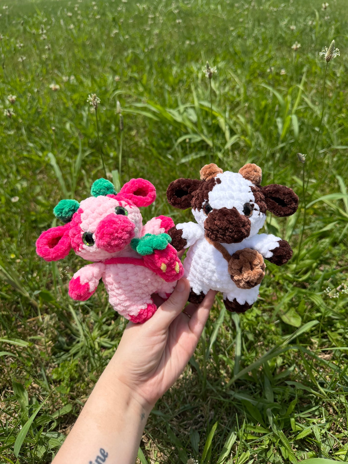 Baby Cows