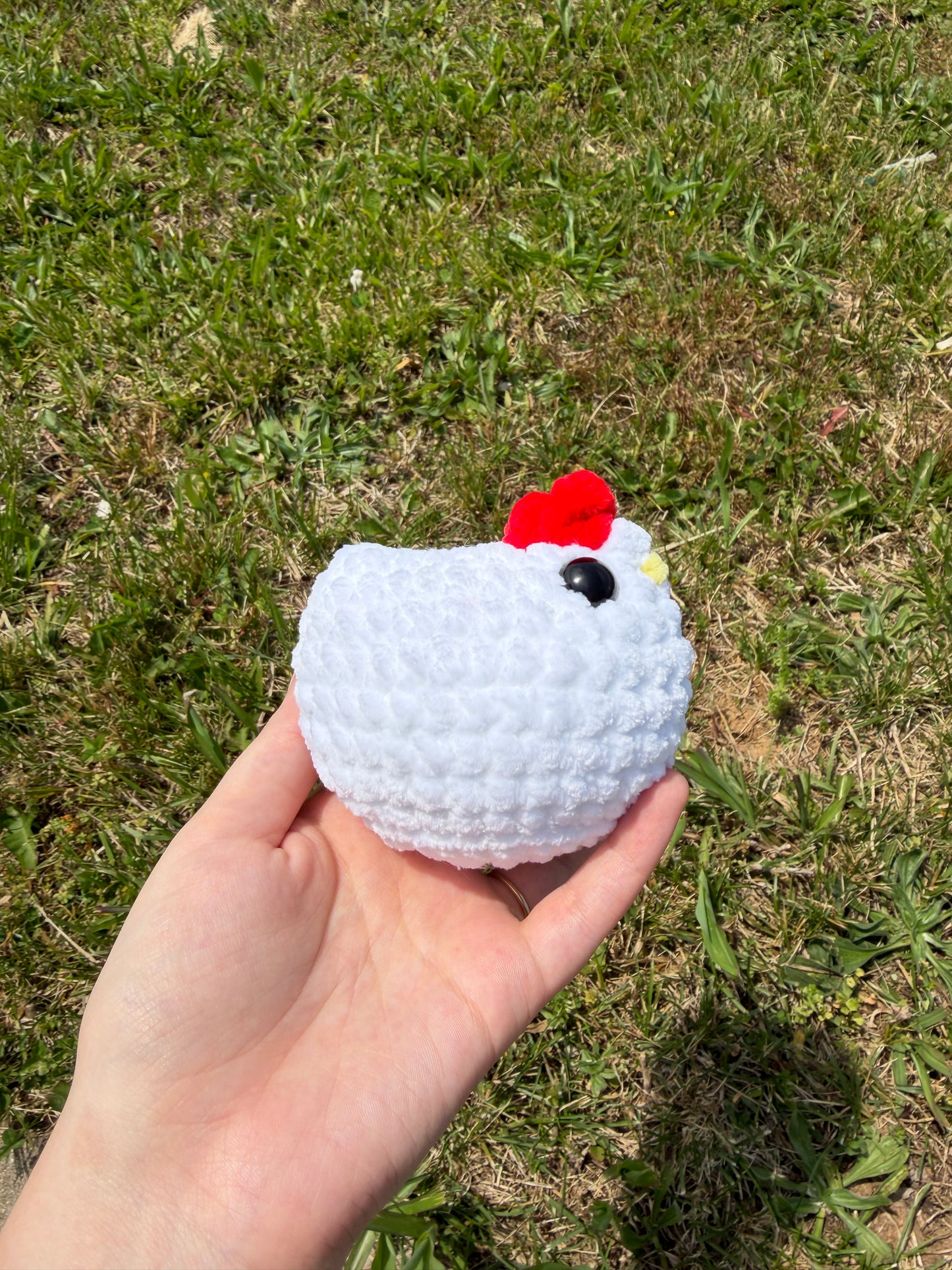 Chickens