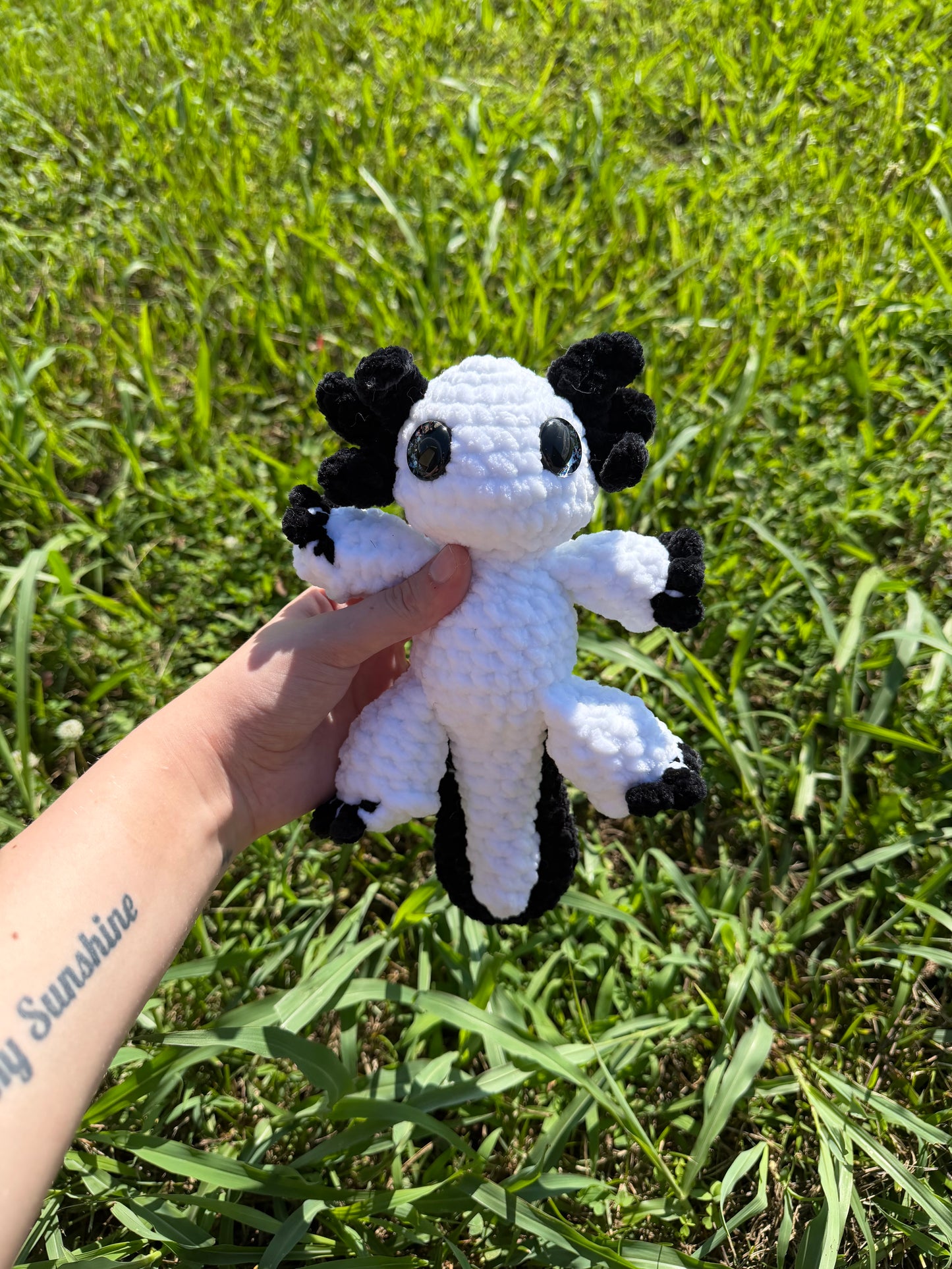 Axolotl
