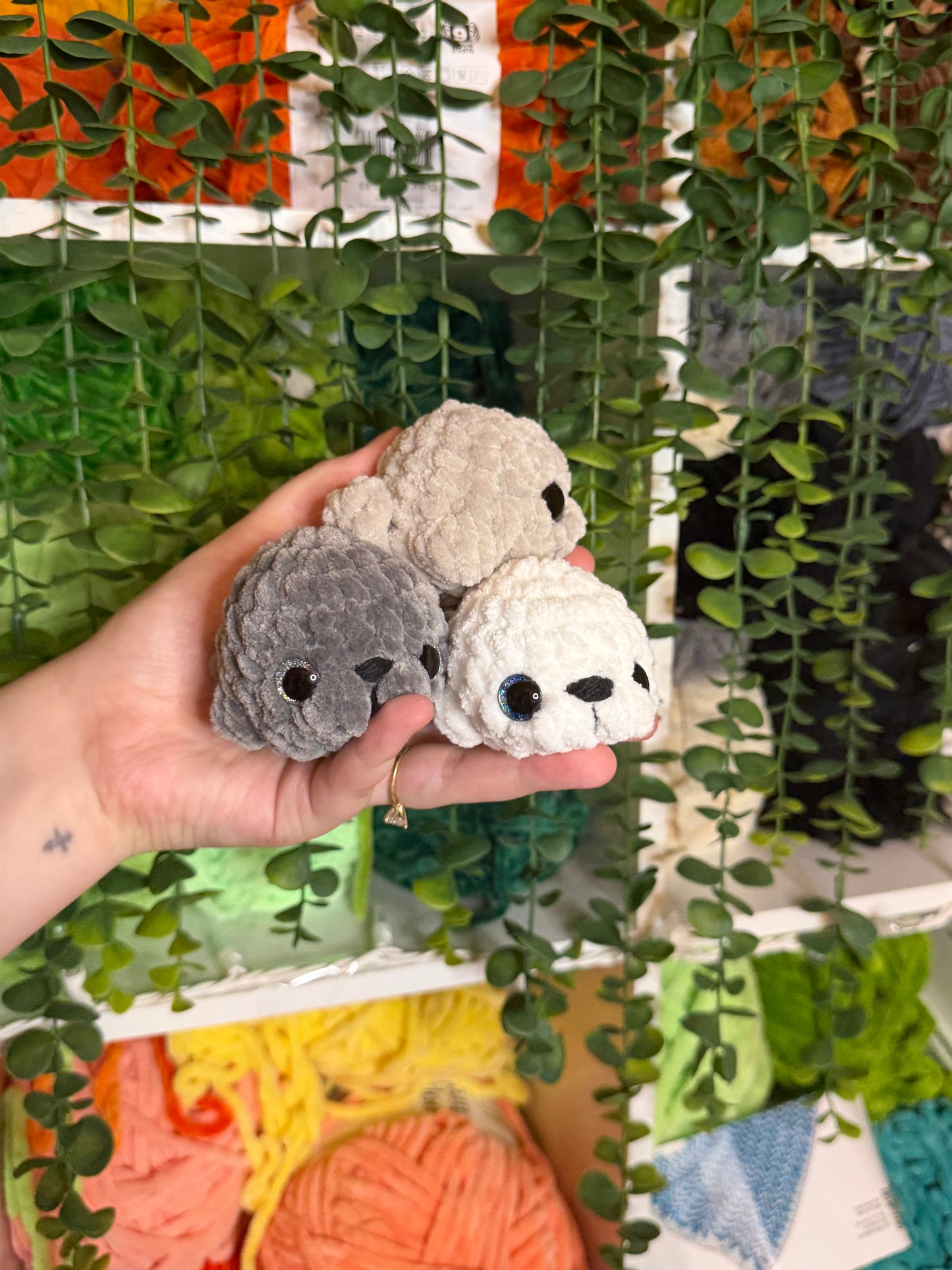 Mini Seals