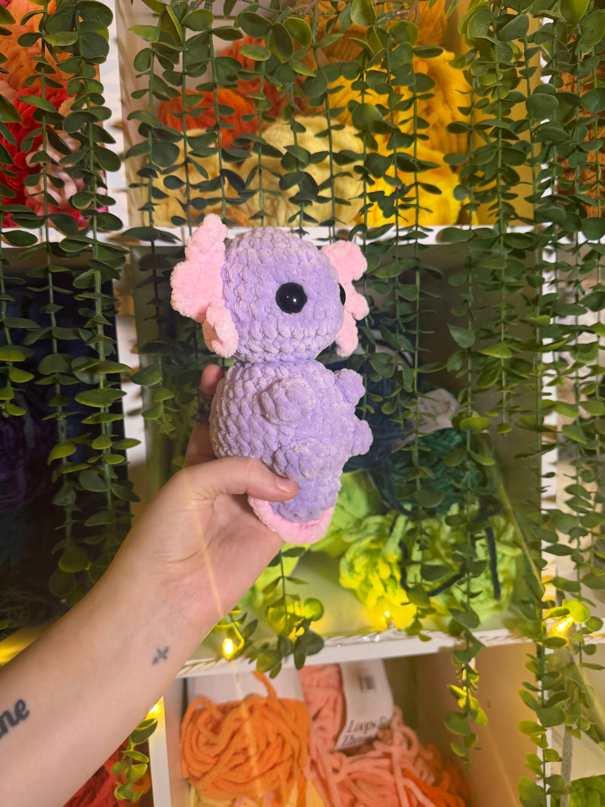 Axolotl