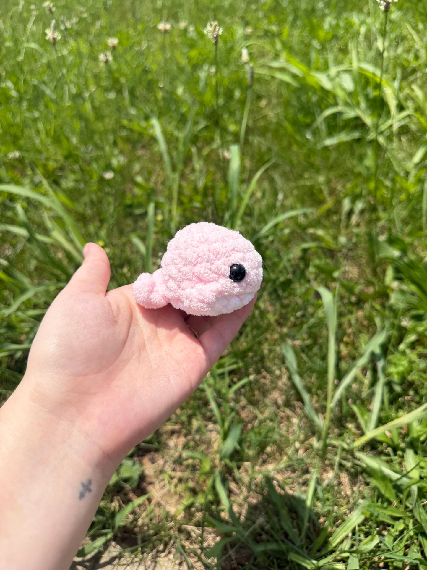 Mini Whales