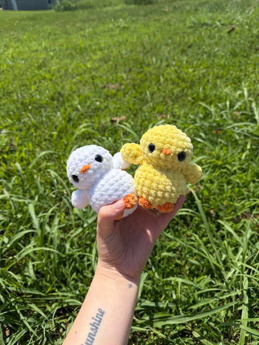 Baby Duck