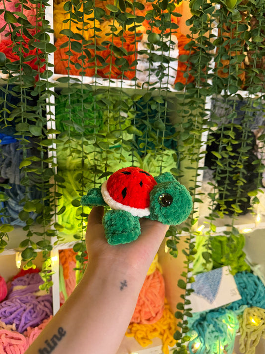 Watermelon Turtle