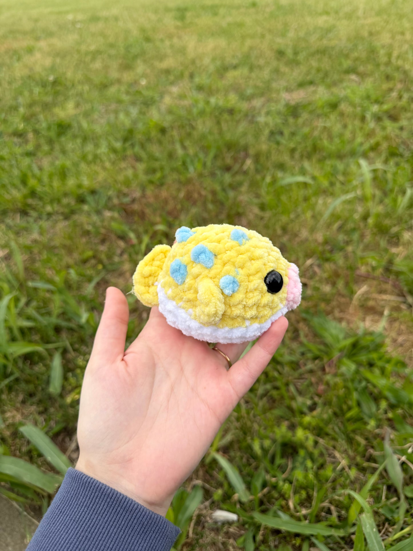 Puffer Fish