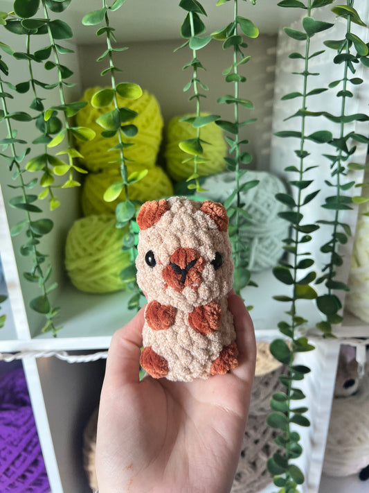 Capybara