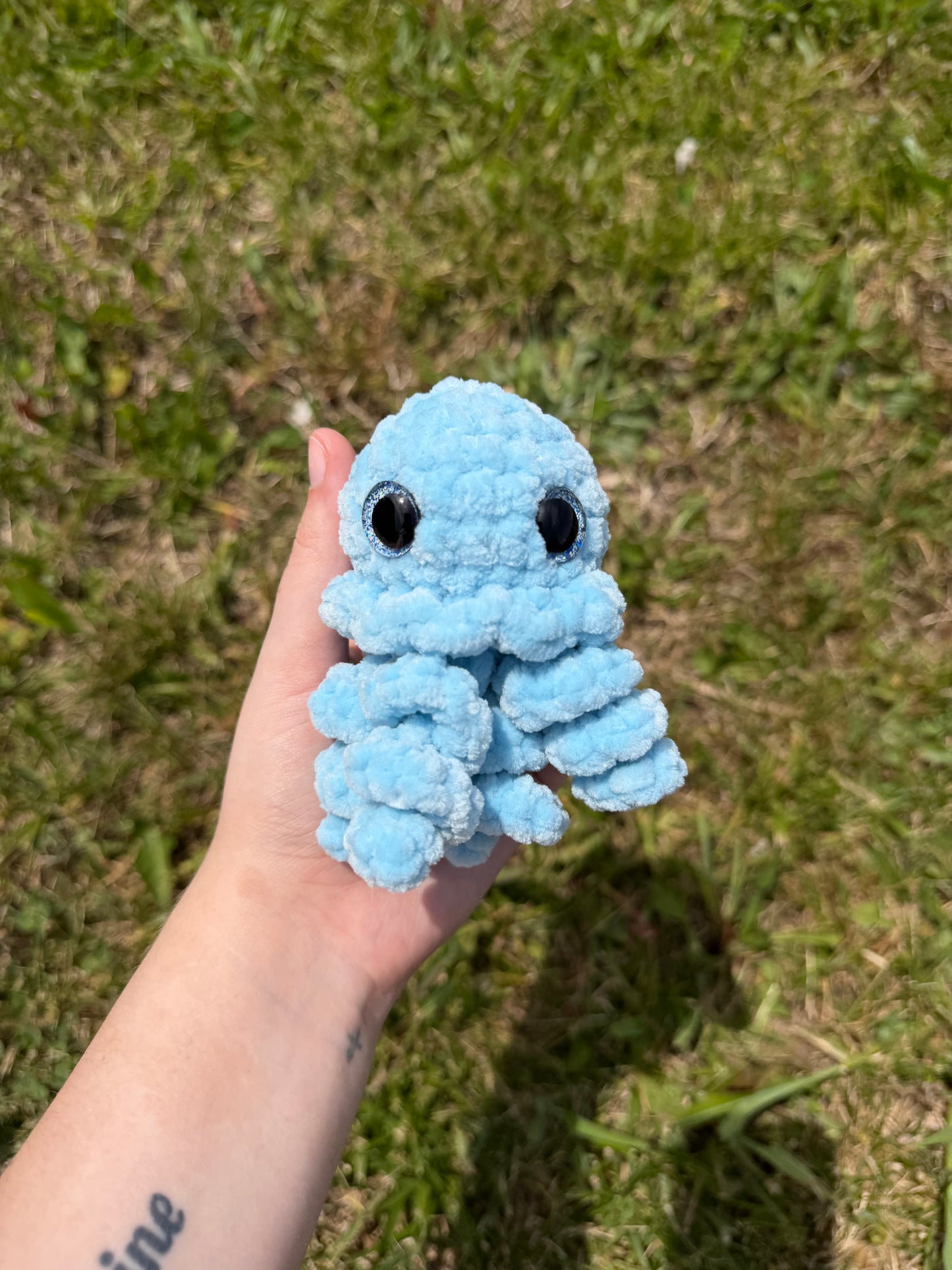 Jellyfish