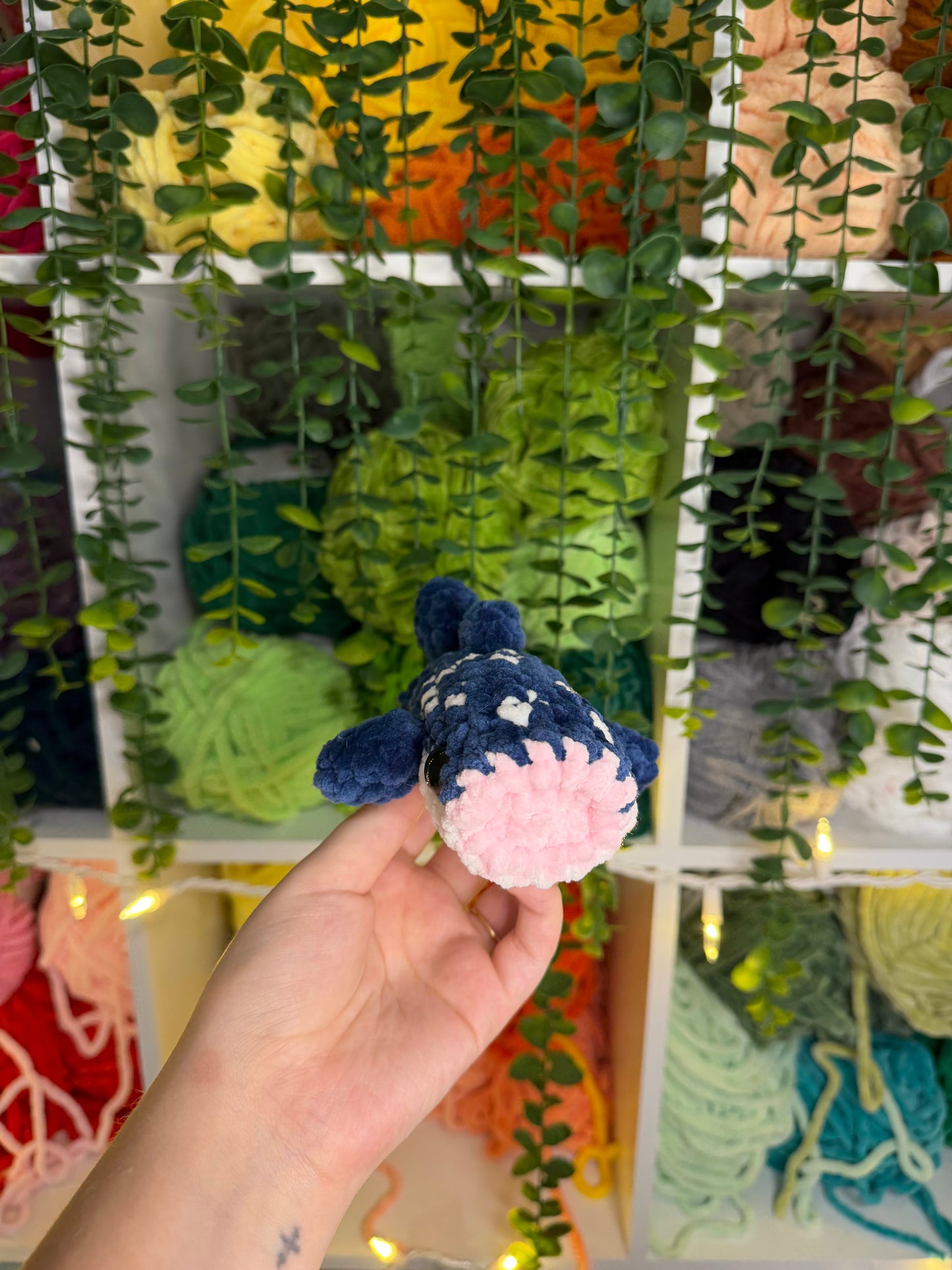 Mini Whale Shark