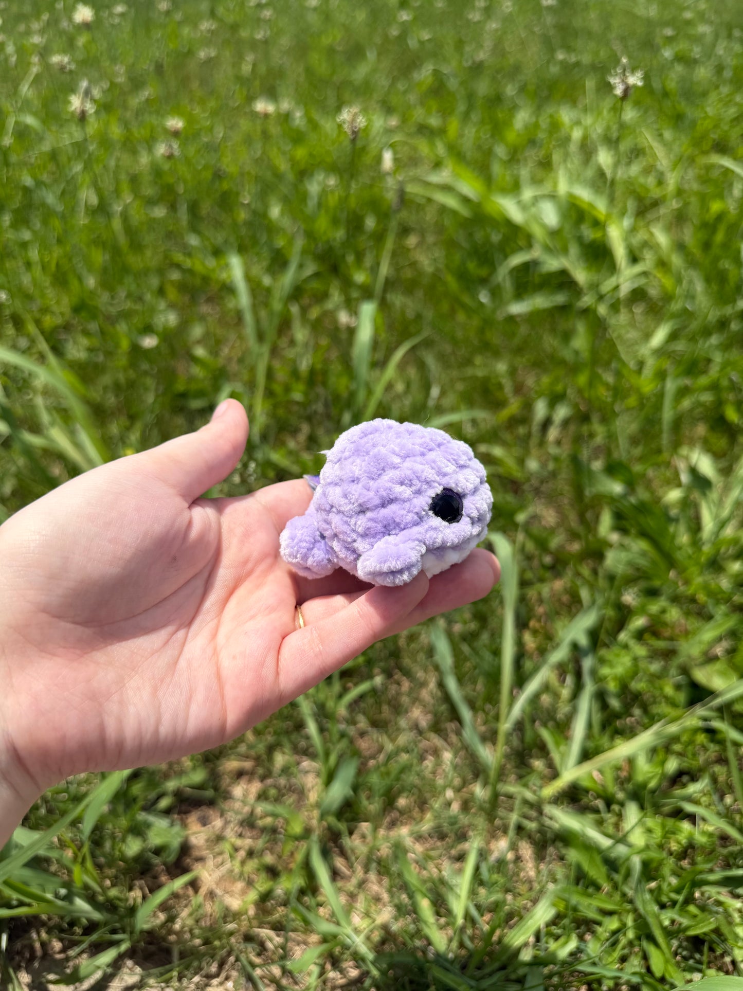 Mini Whales
