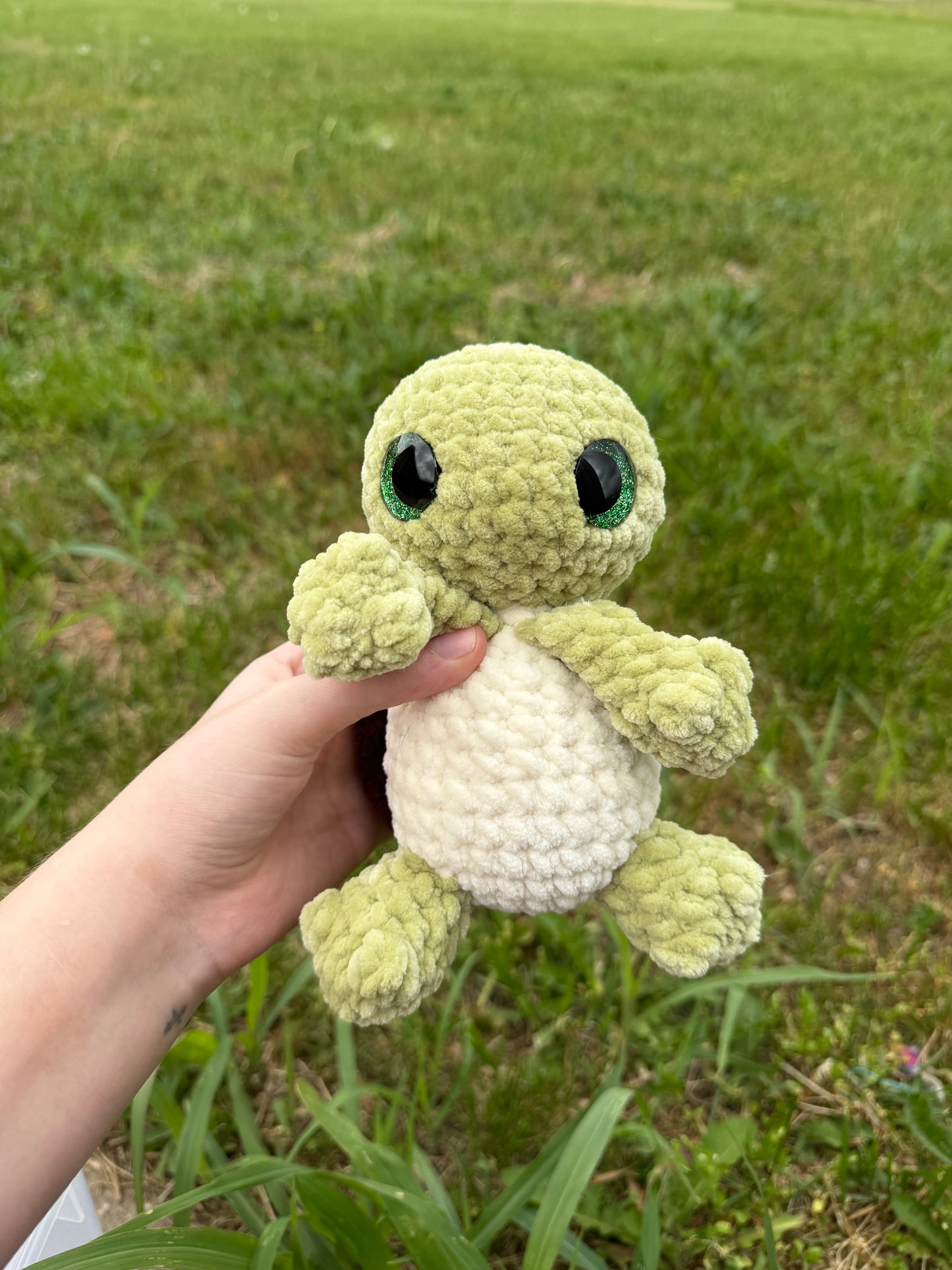 Bubbles the Baby Turtle