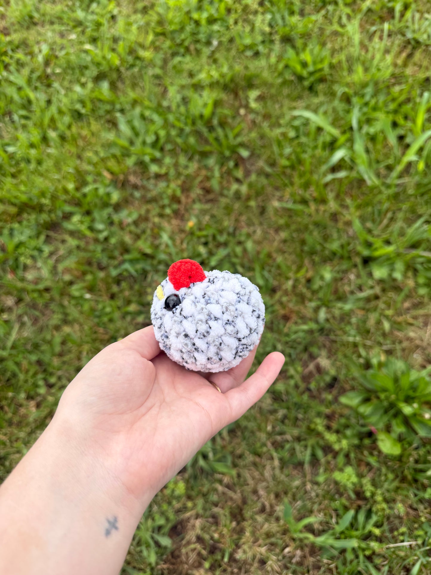 Small chicken