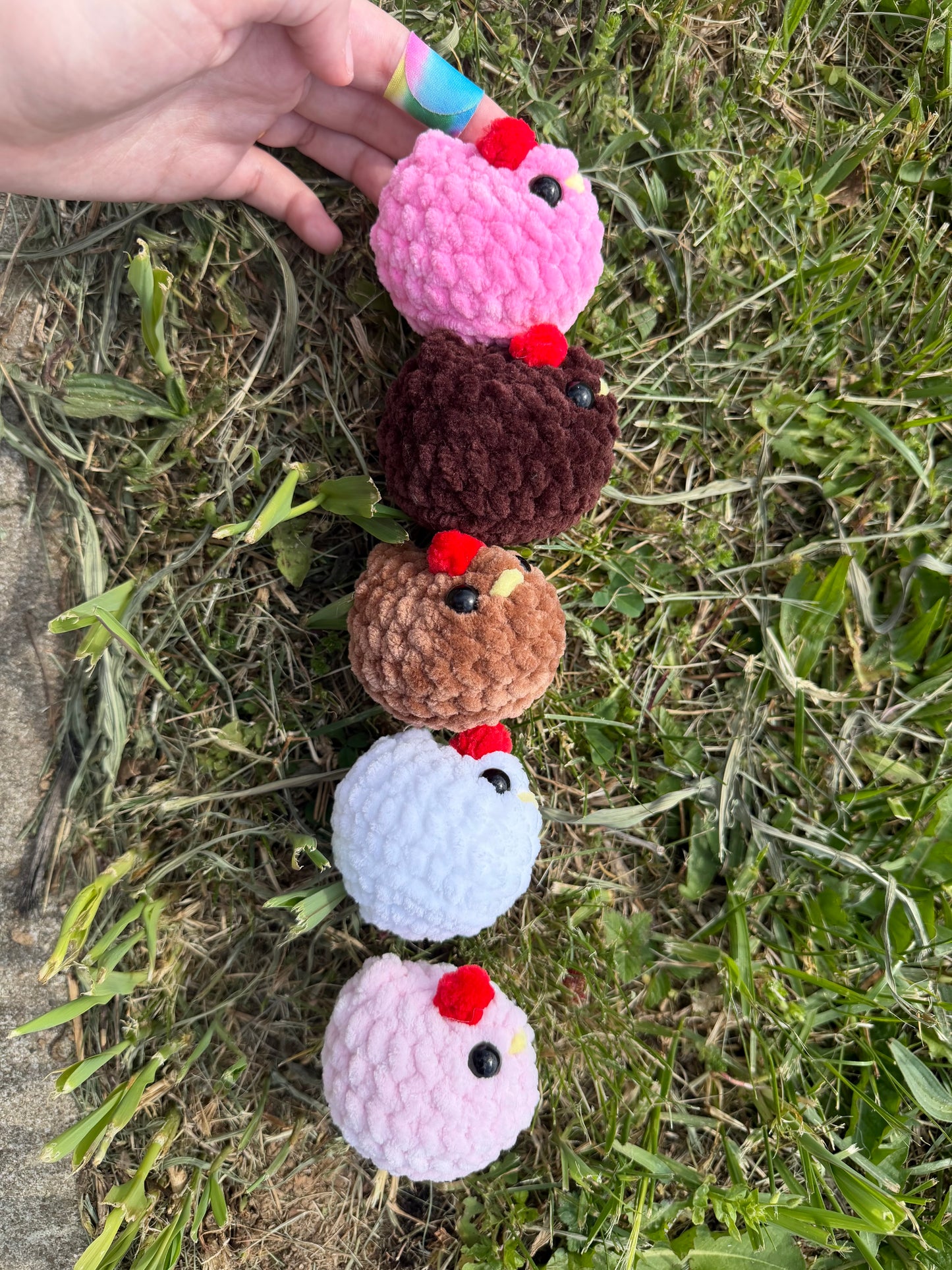Mini Chickens