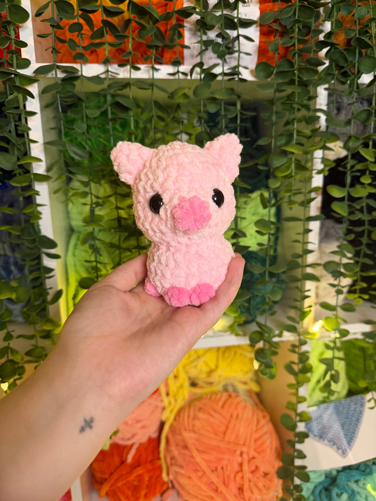 Baby pig