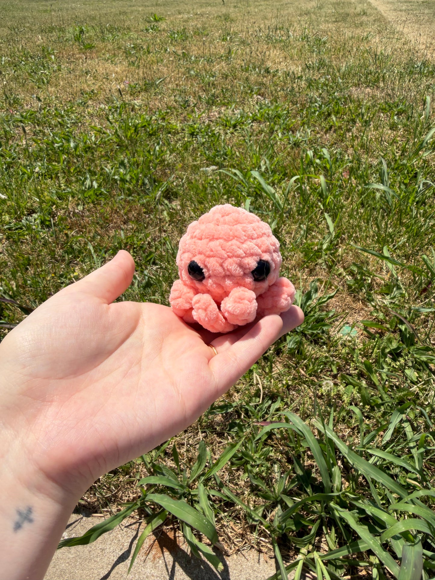 Baby Octos