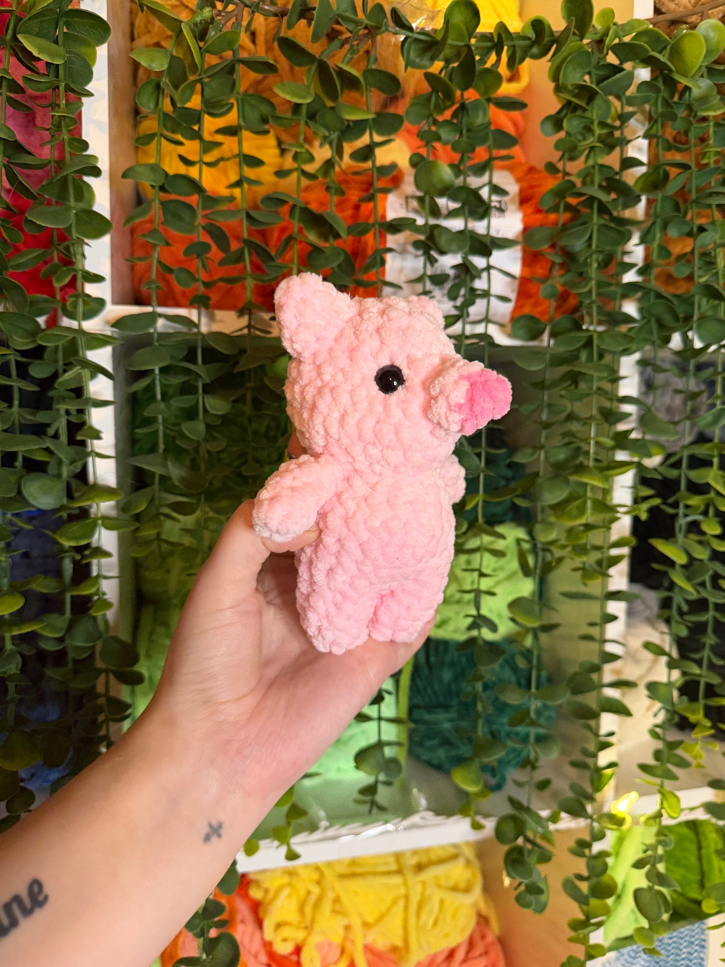 Pig