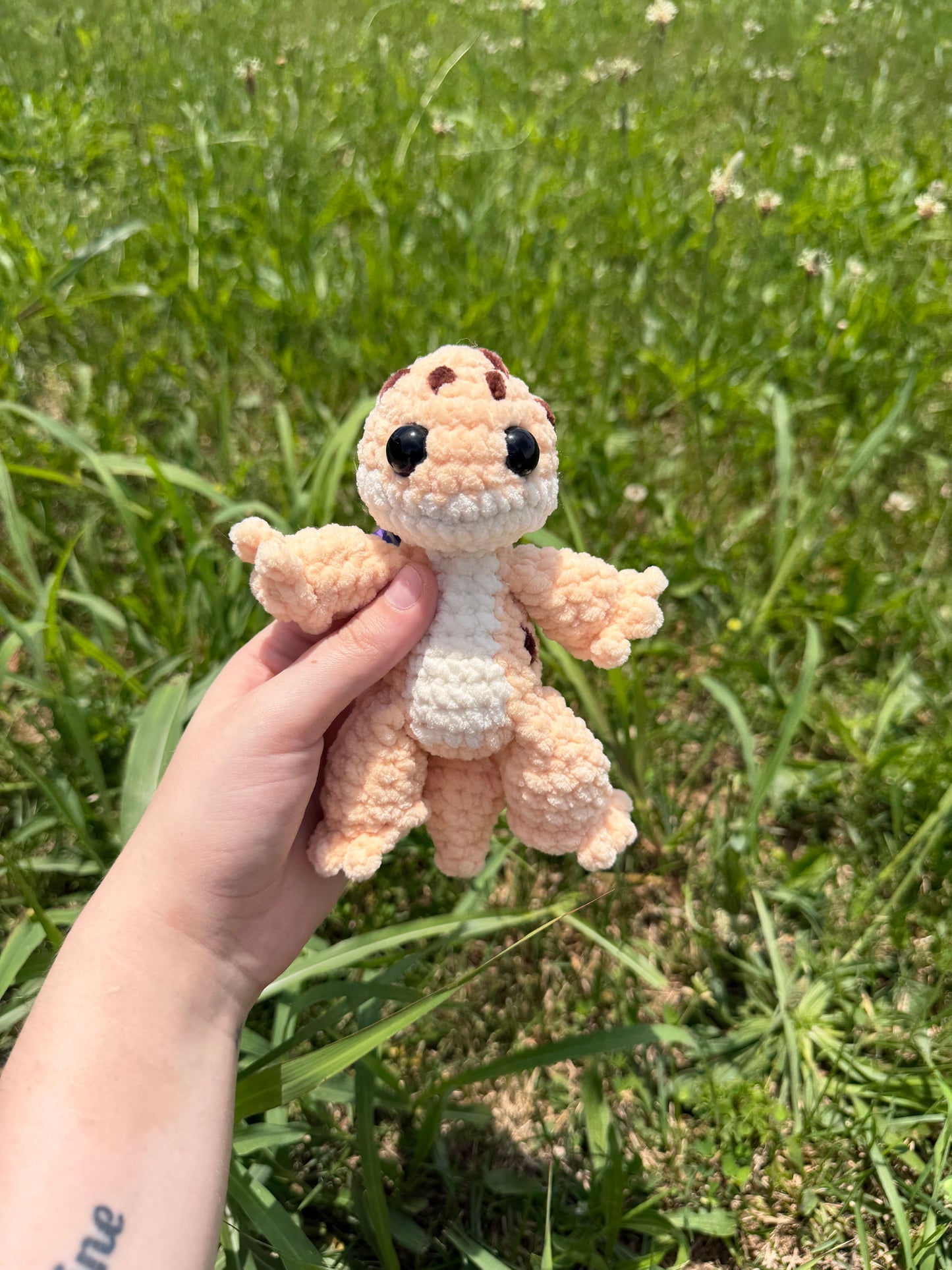 Leopard Gecko ￼