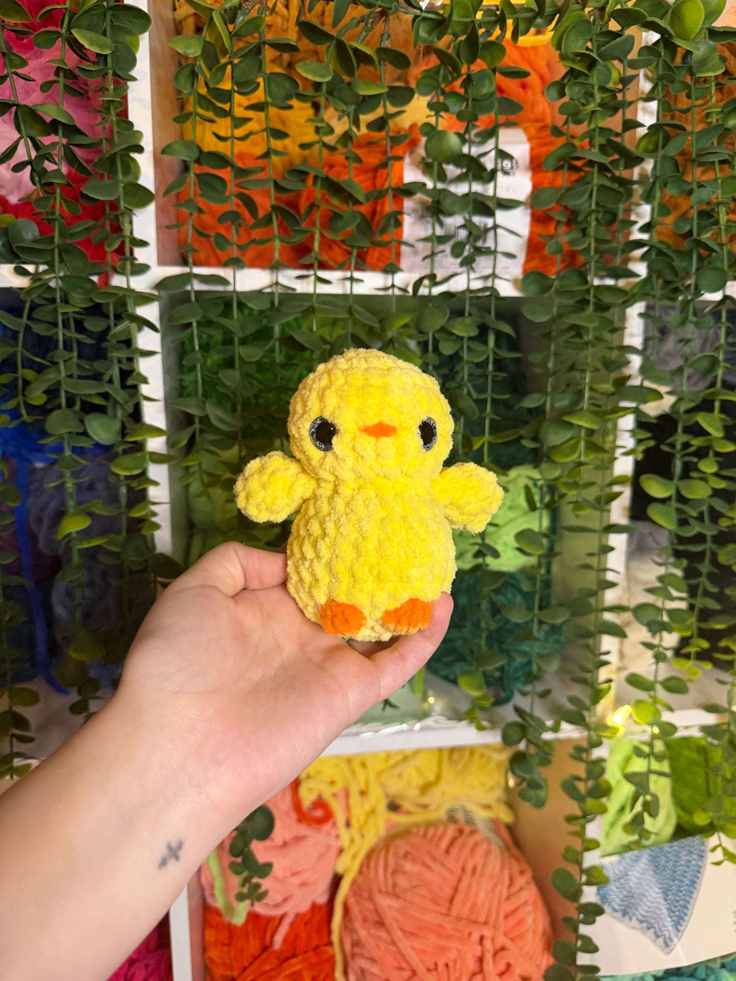 Duck