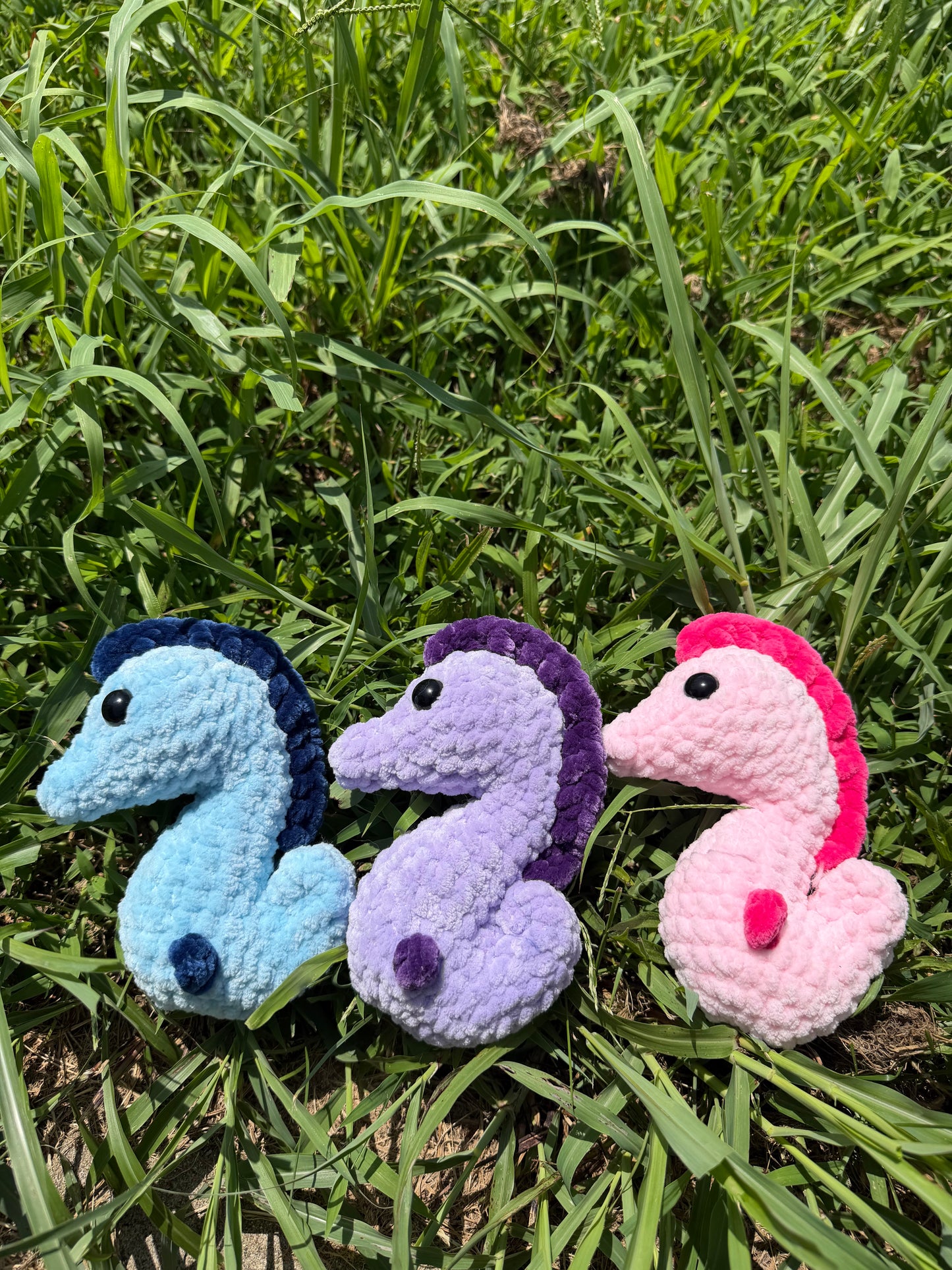 Seahorse