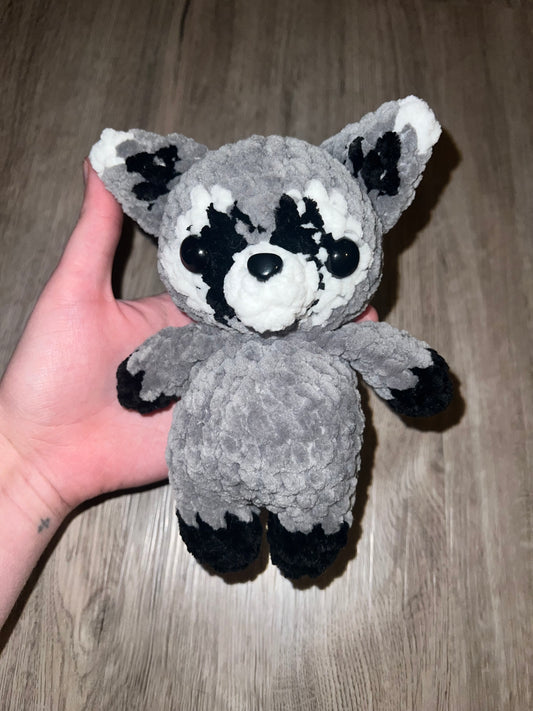 Raccoon