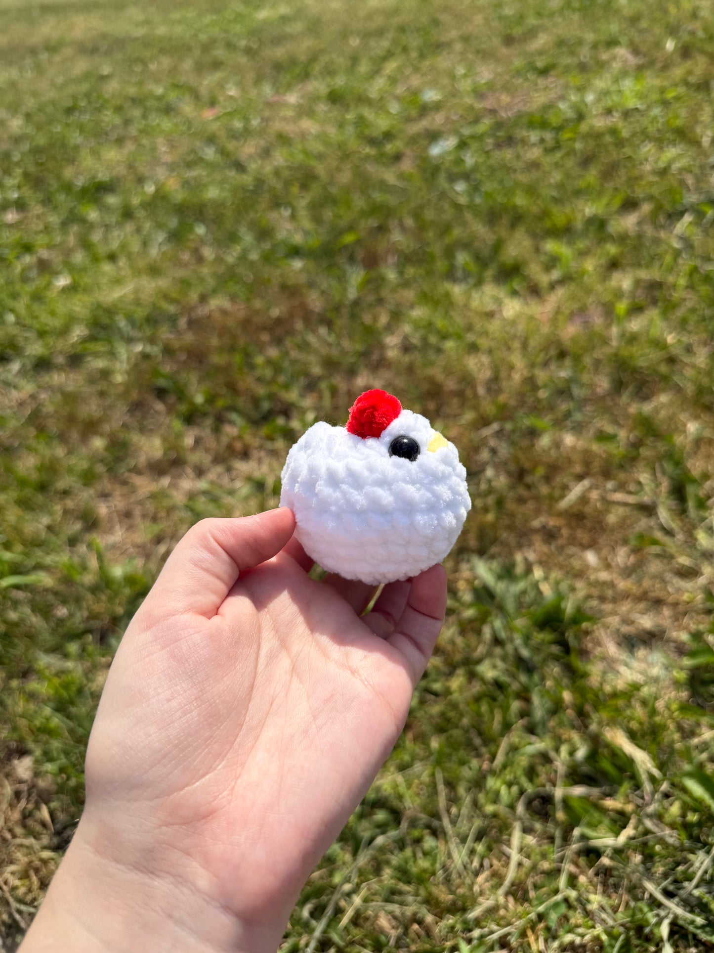 Mini Chickens