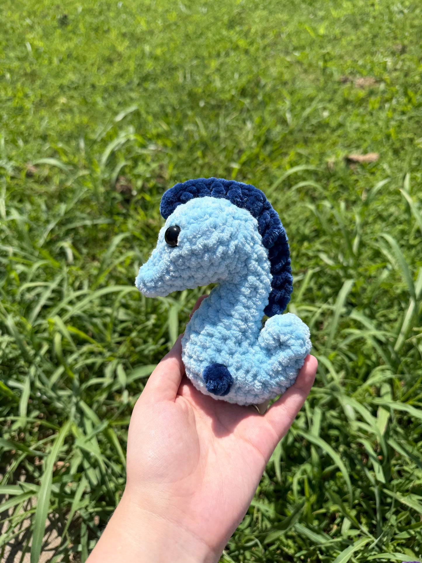 Seahorse