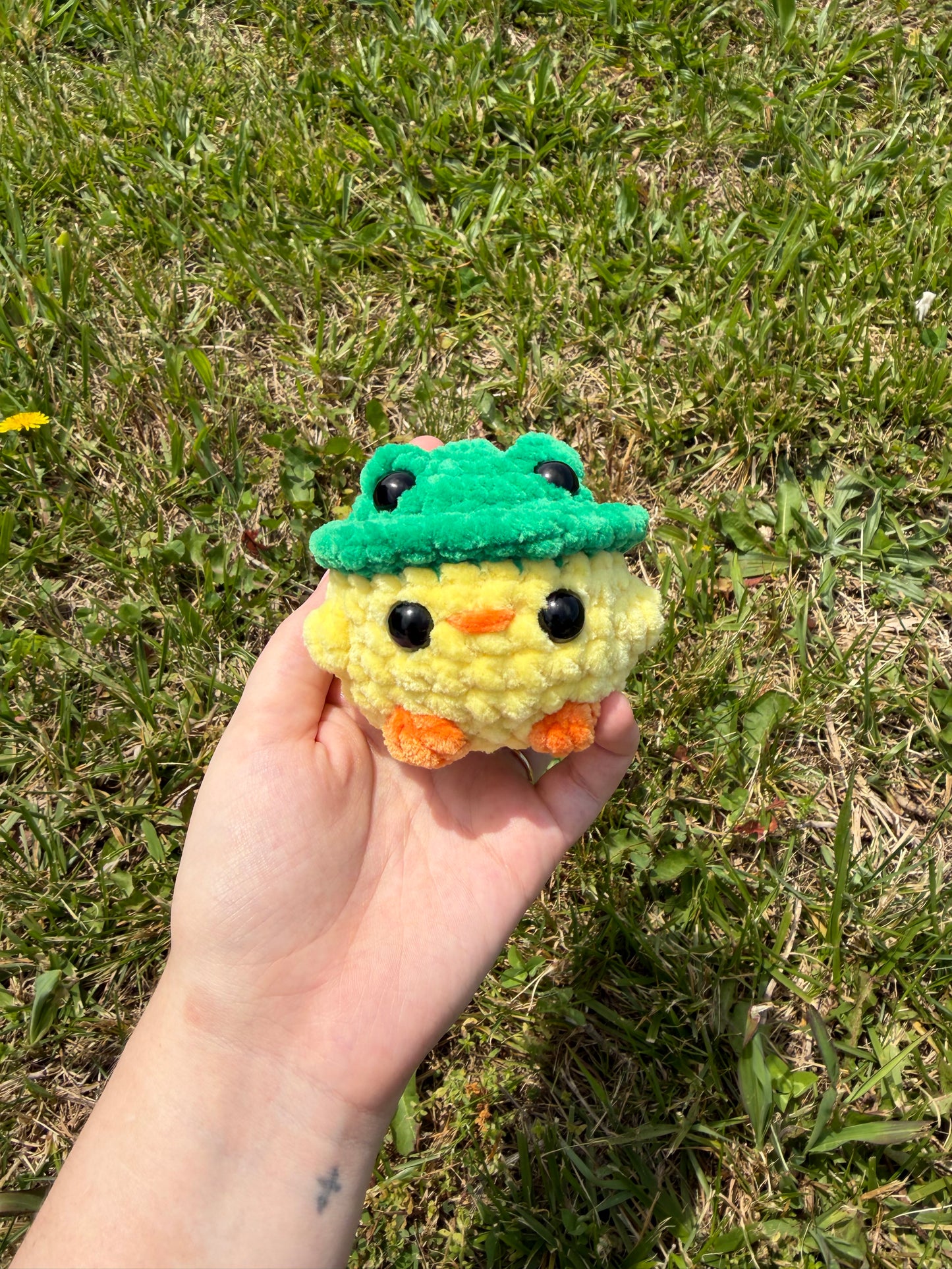 Chicks in Frog Hats