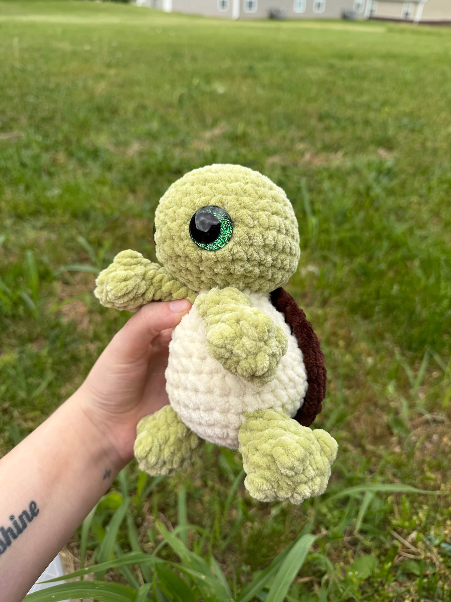 Bubbles the Baby Turtle