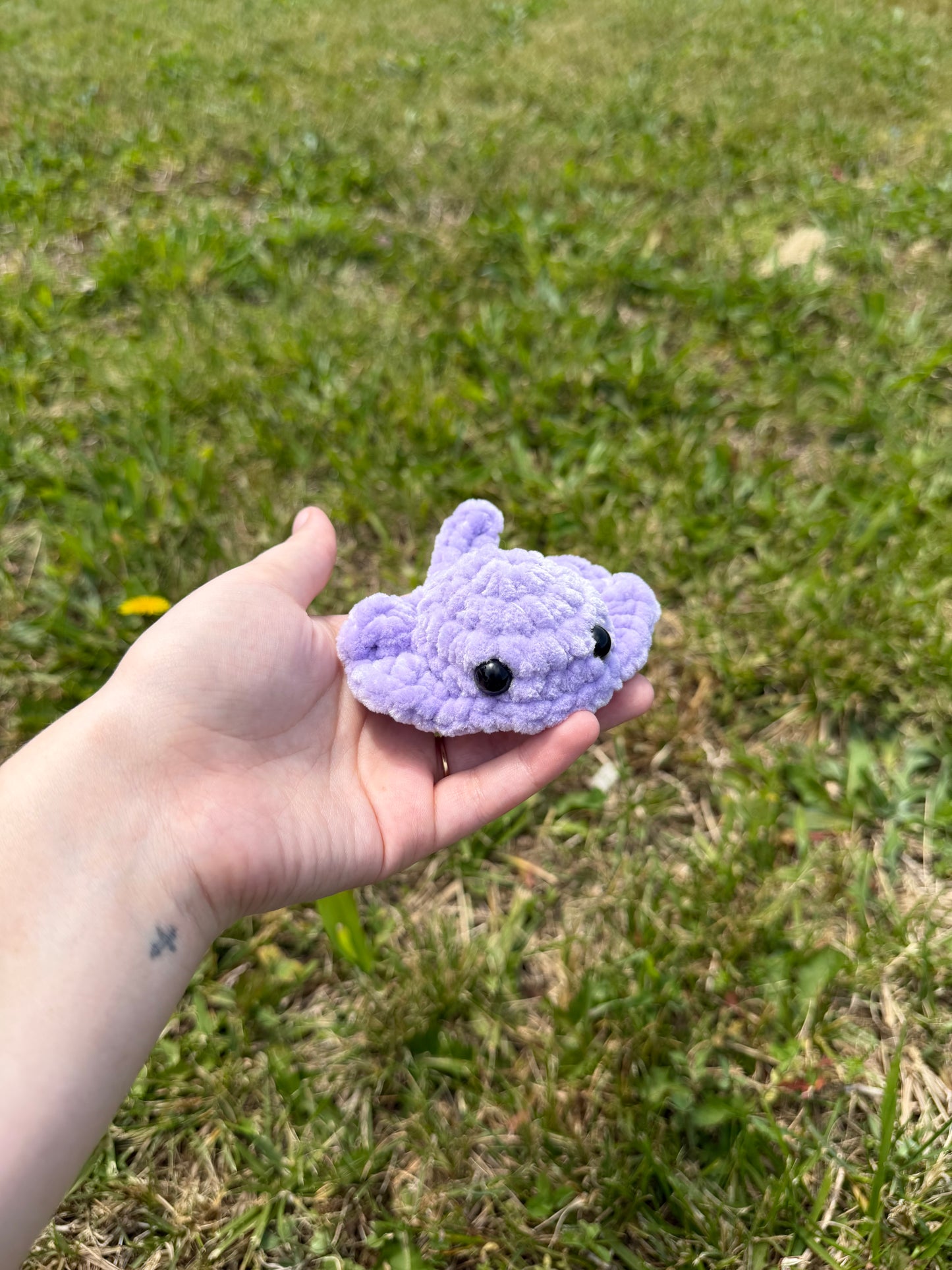 Mini Stingray