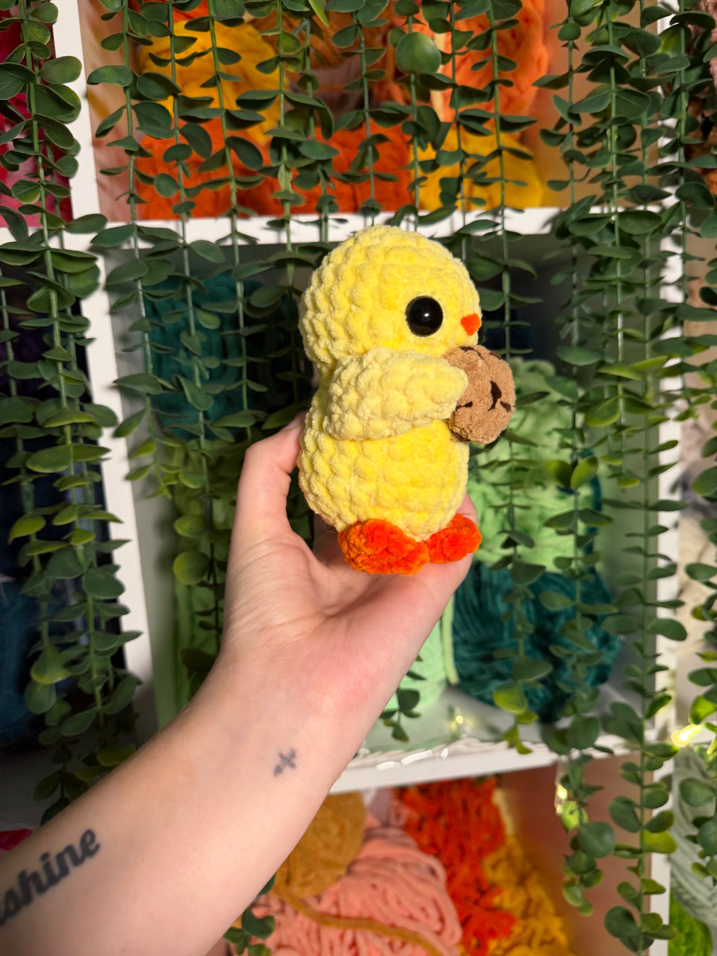 Baby Duck Holding Cookie