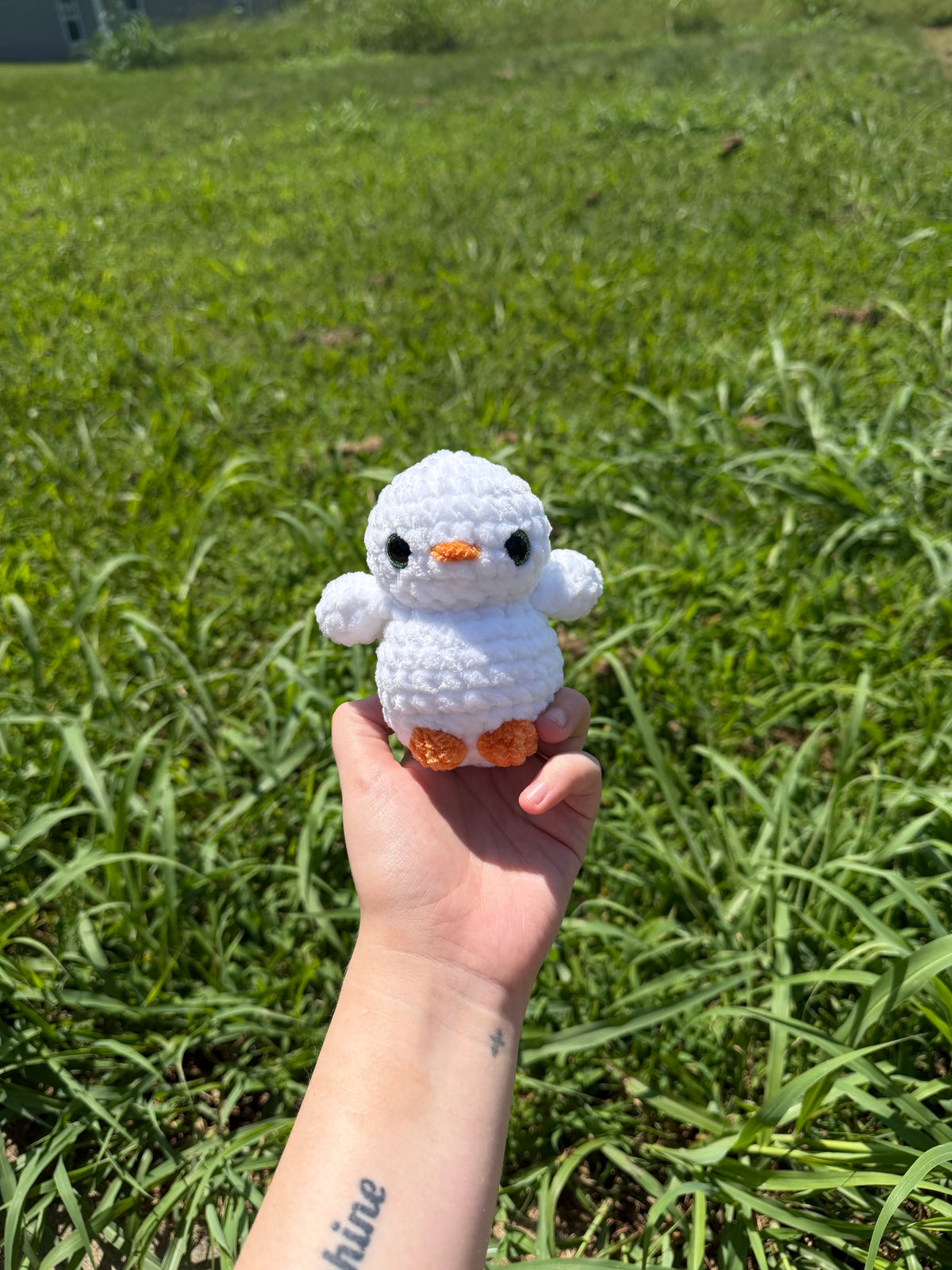 Baby Duck