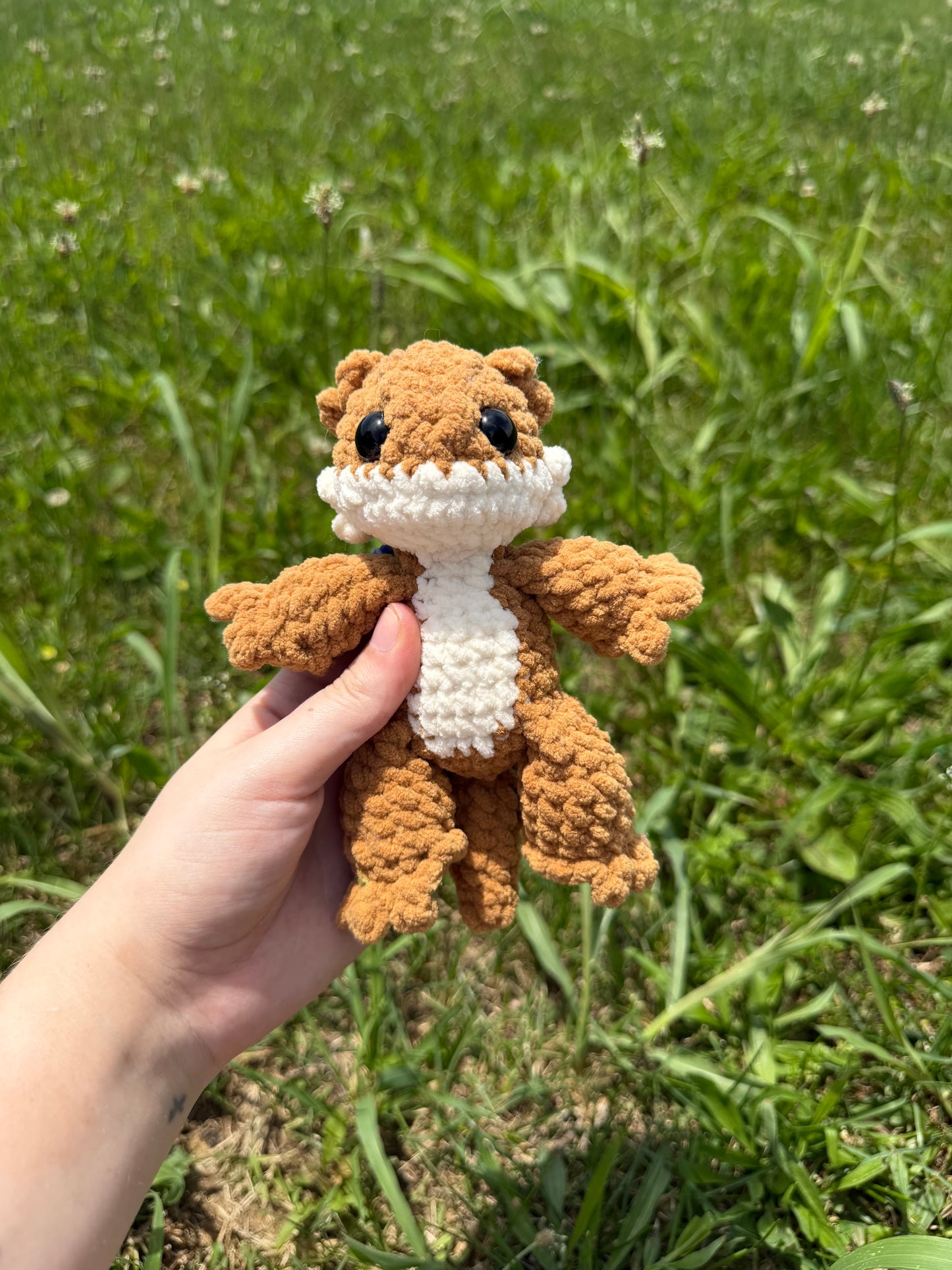 Baby Bearded Dragon