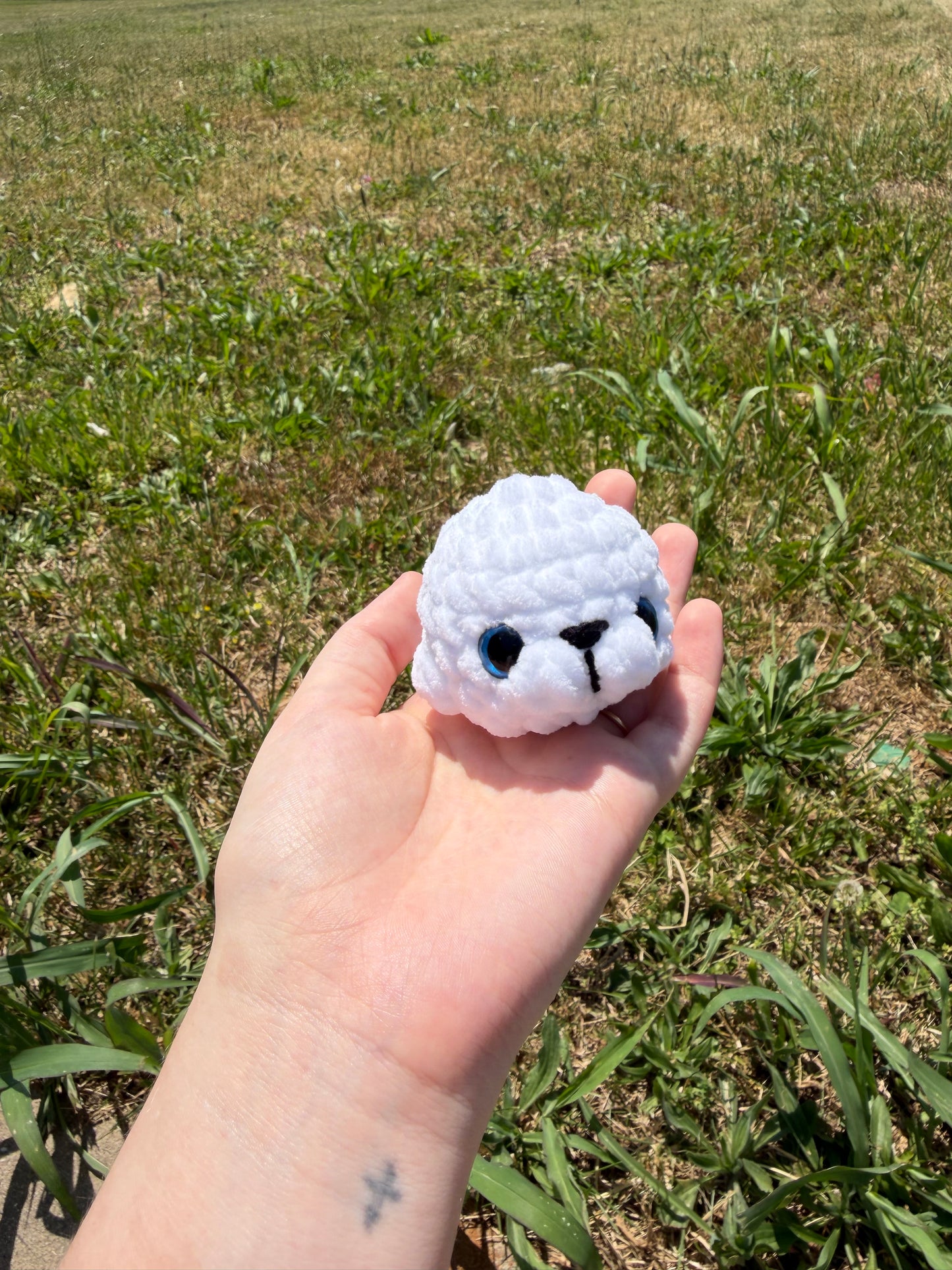 Mini Seals