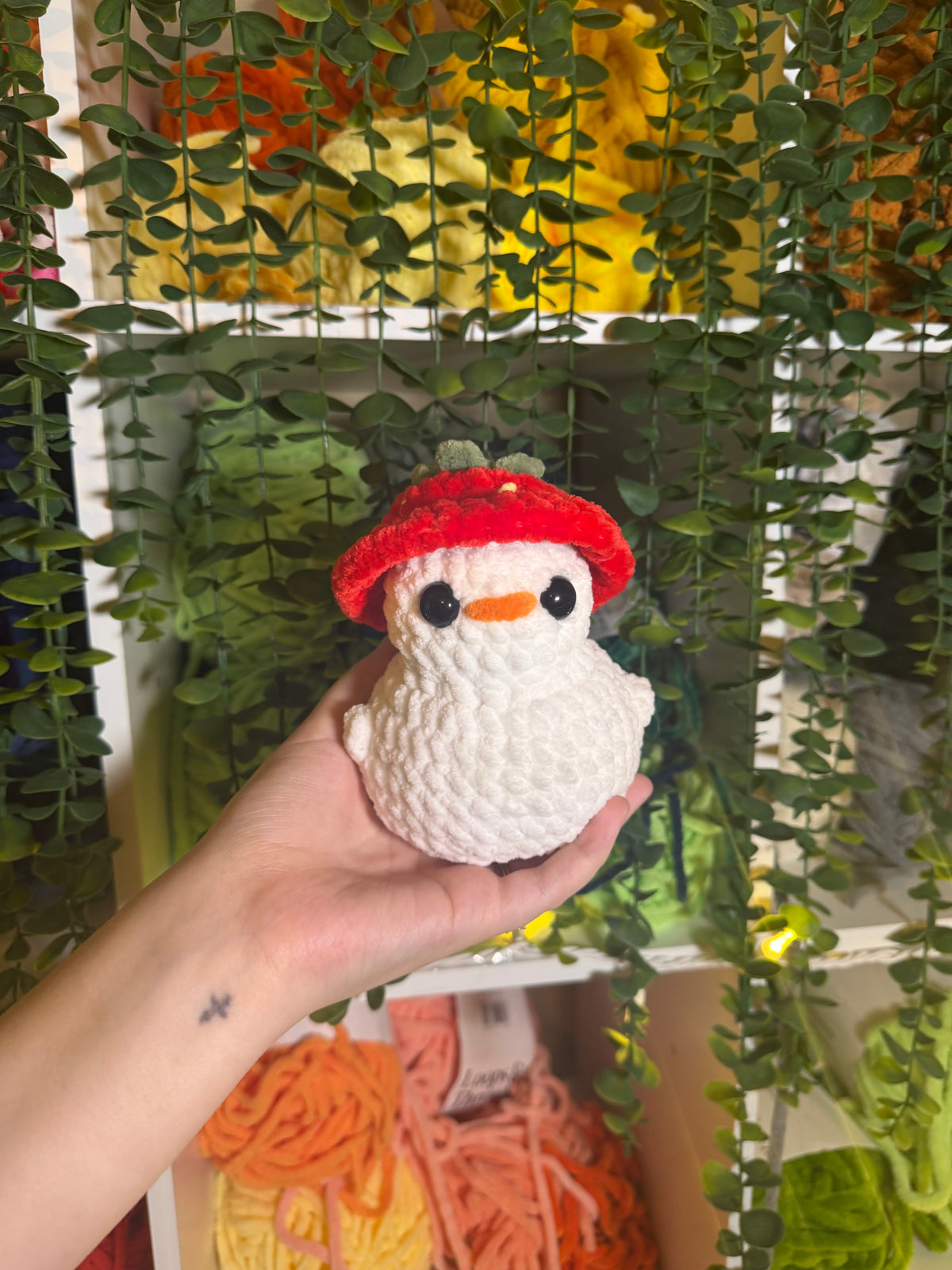 Chonky Duck with Strawberry Hat