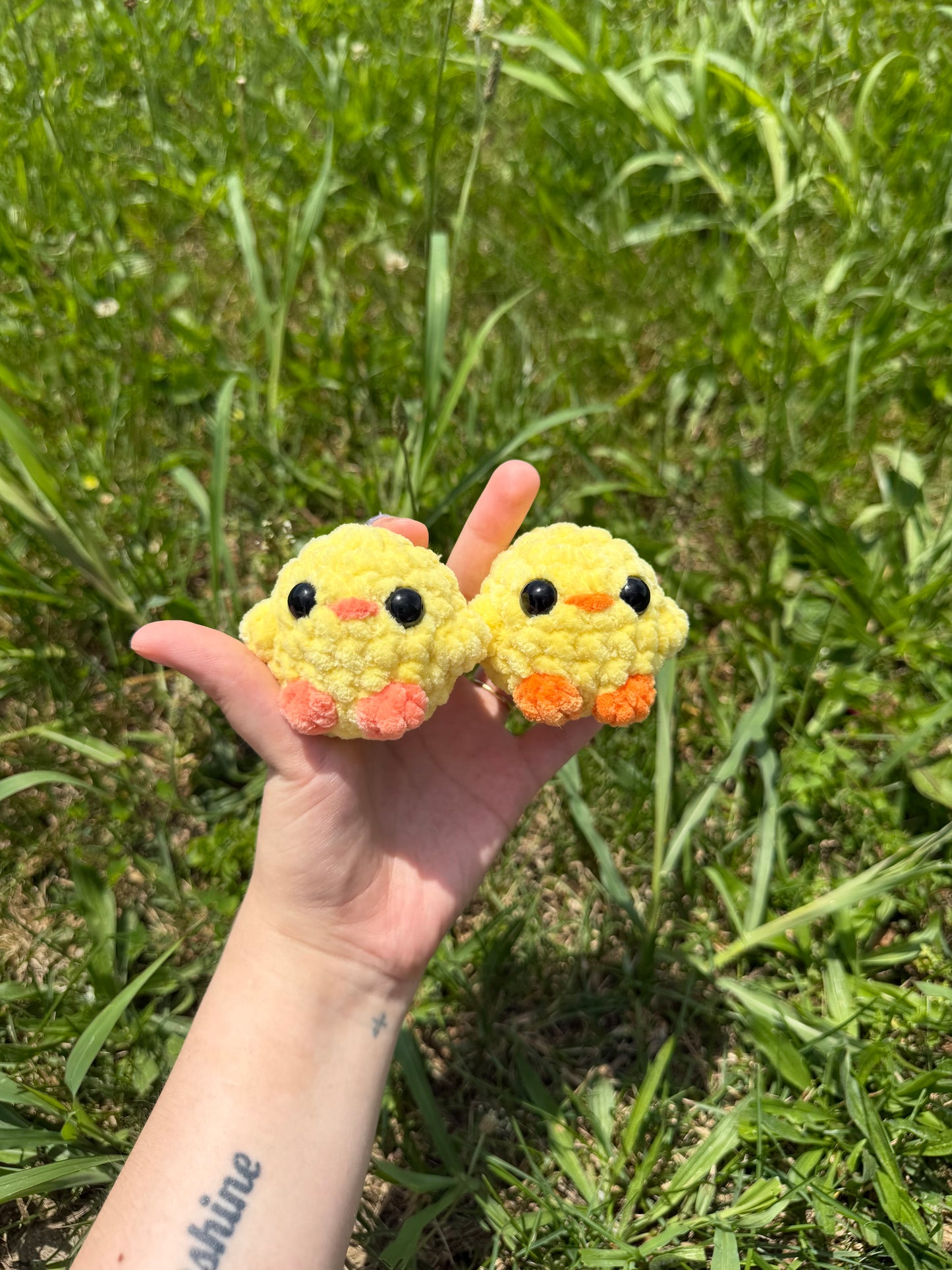 Mini Chicks