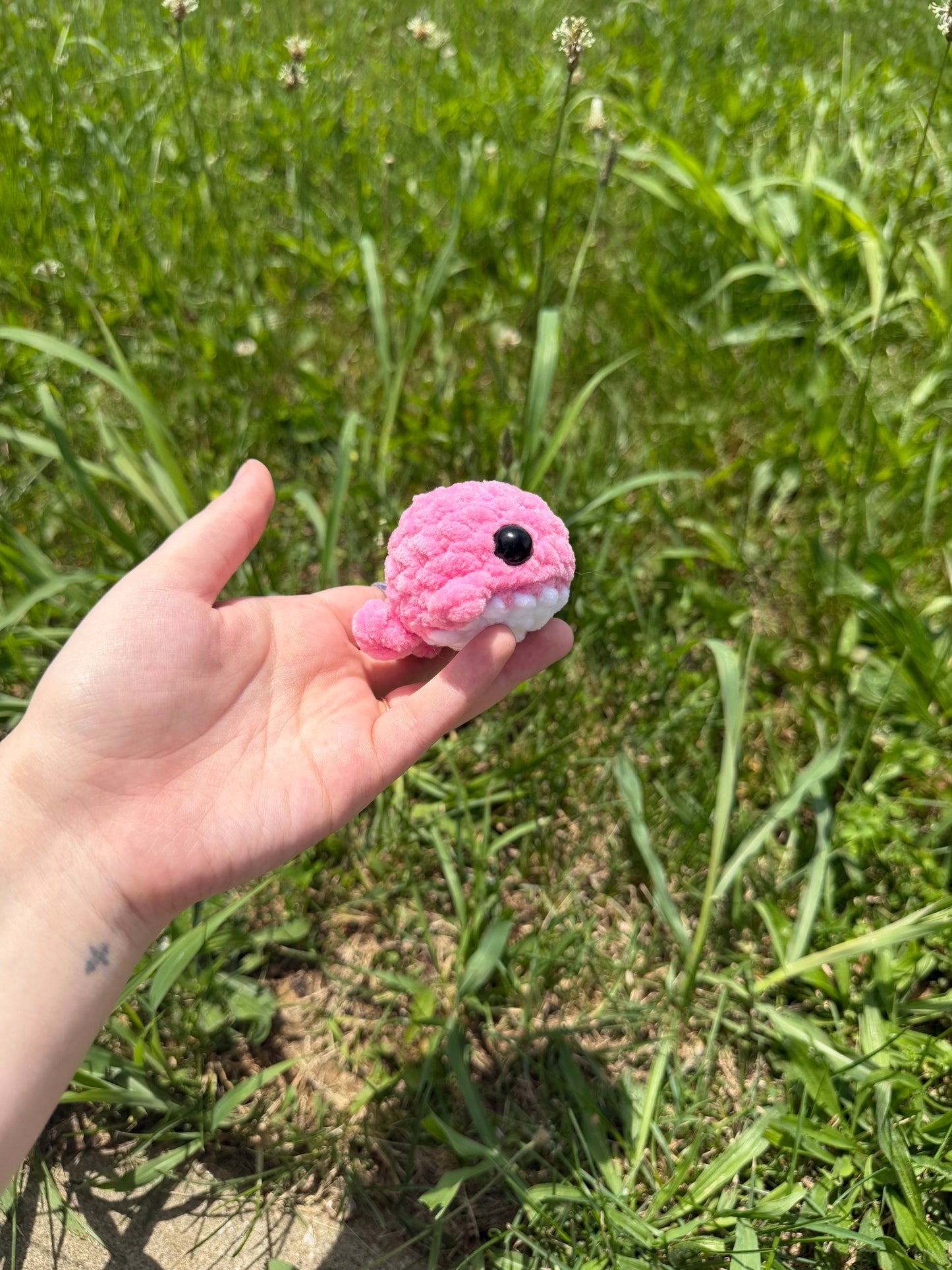 Mini Whales