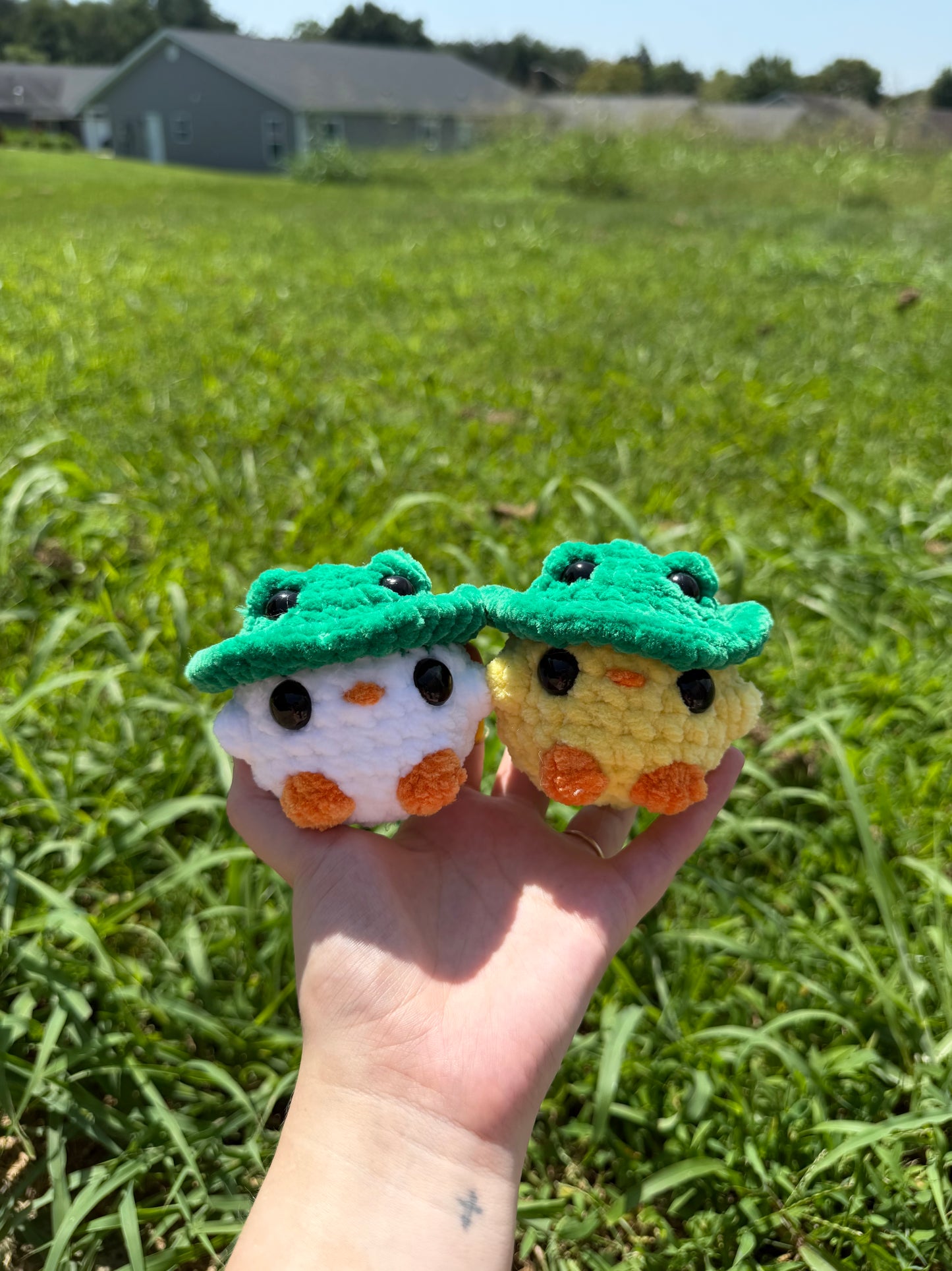 Chicks in Frog Hats