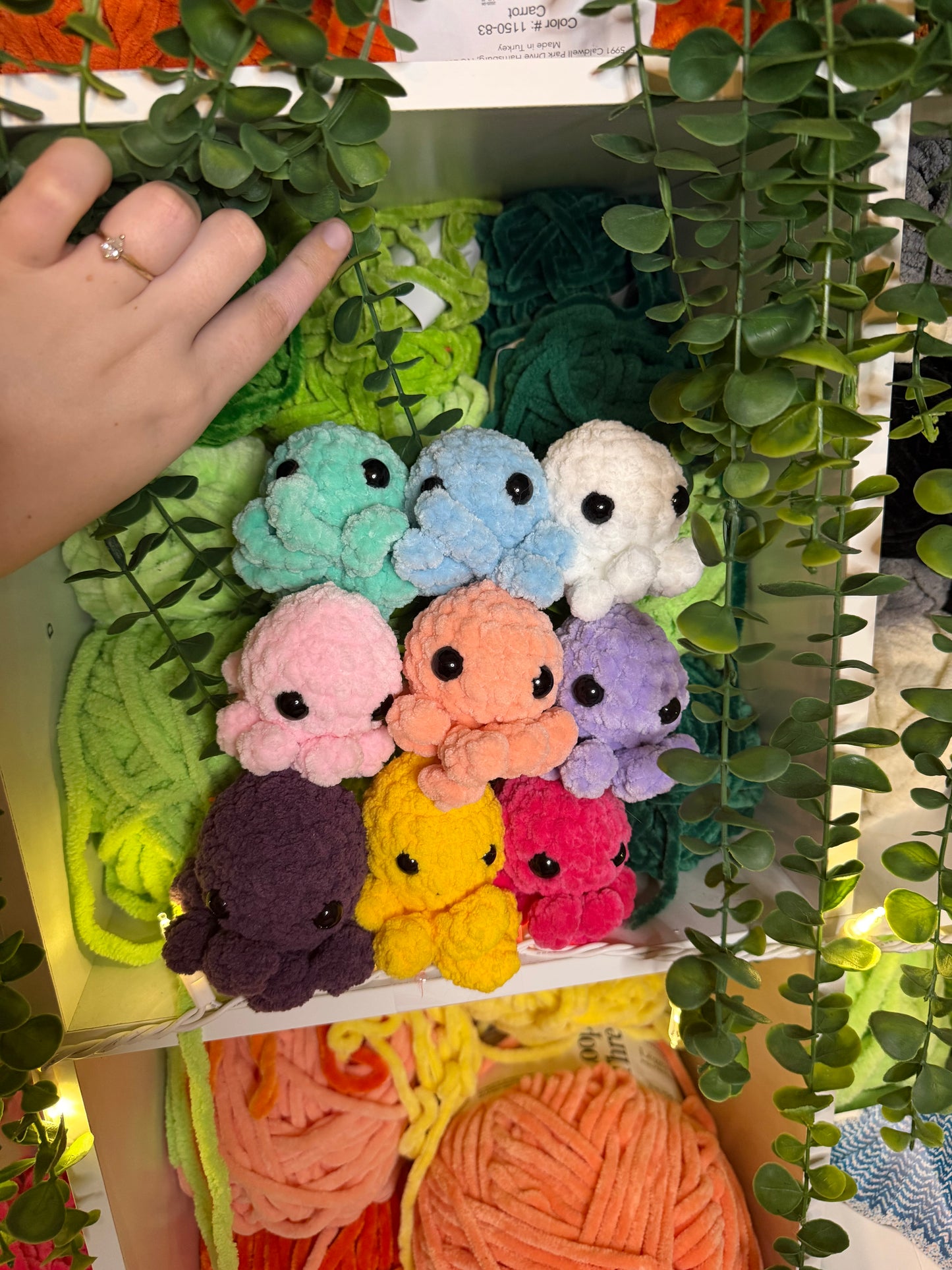 Baby Octos