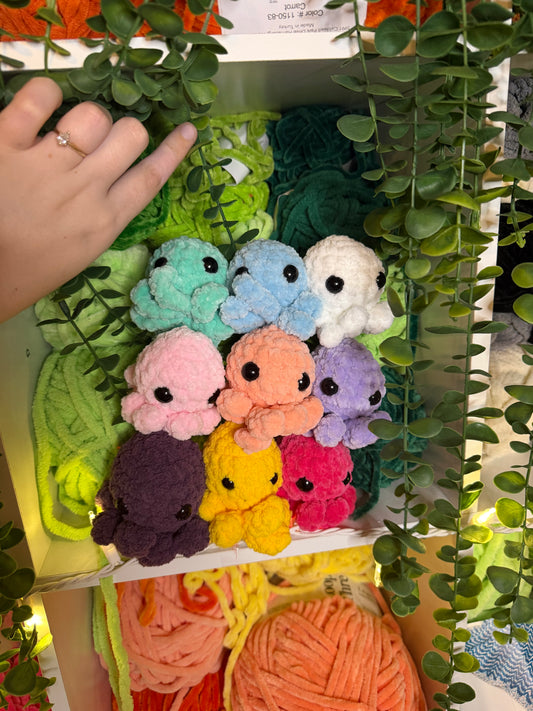 Baby Octos