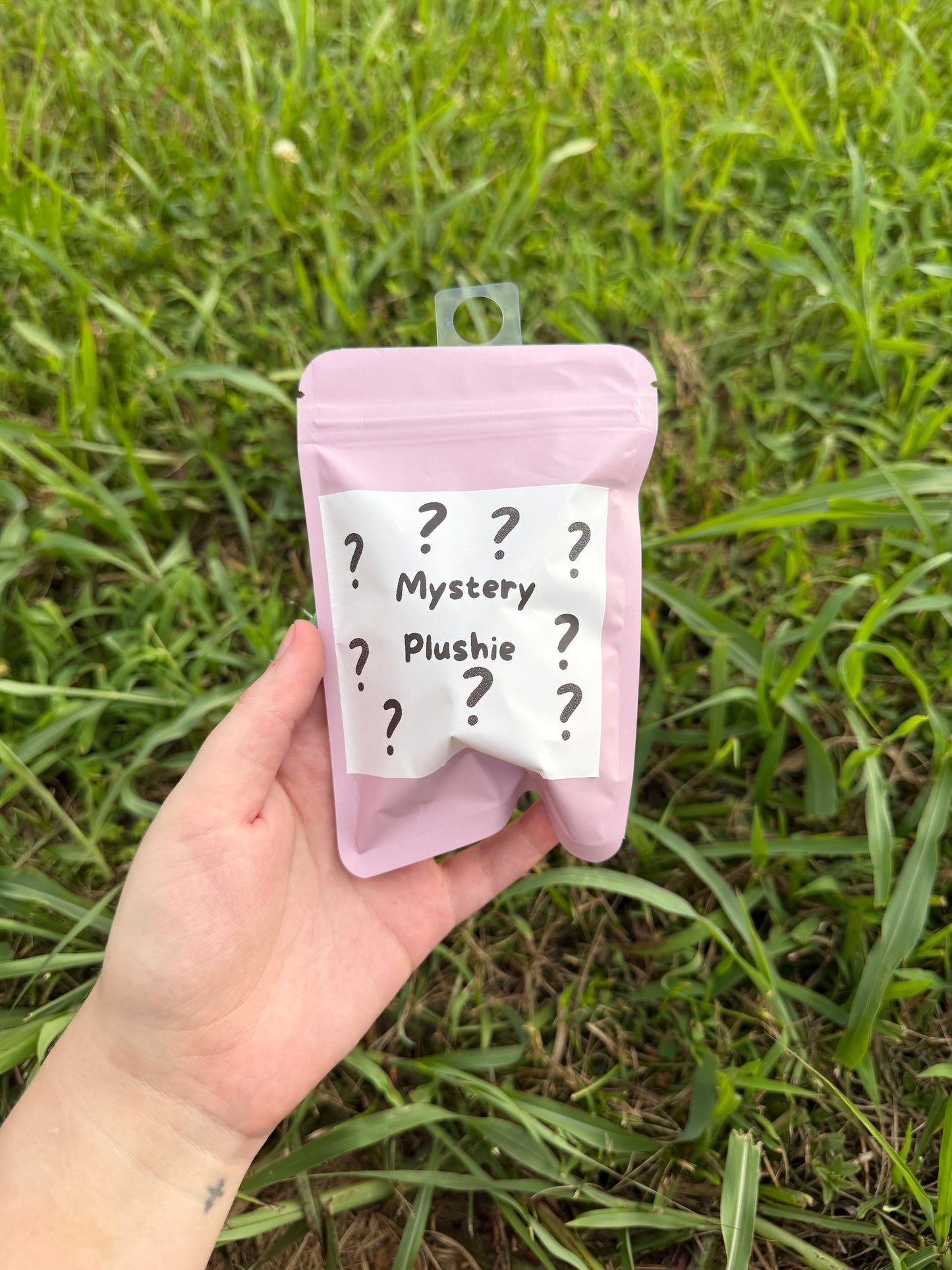 Mystery Mini Plushie