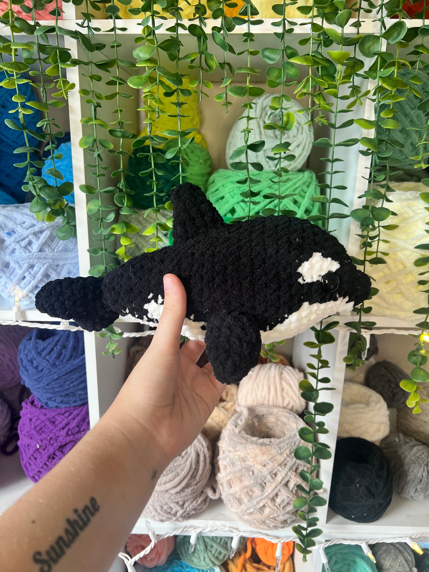 Orca