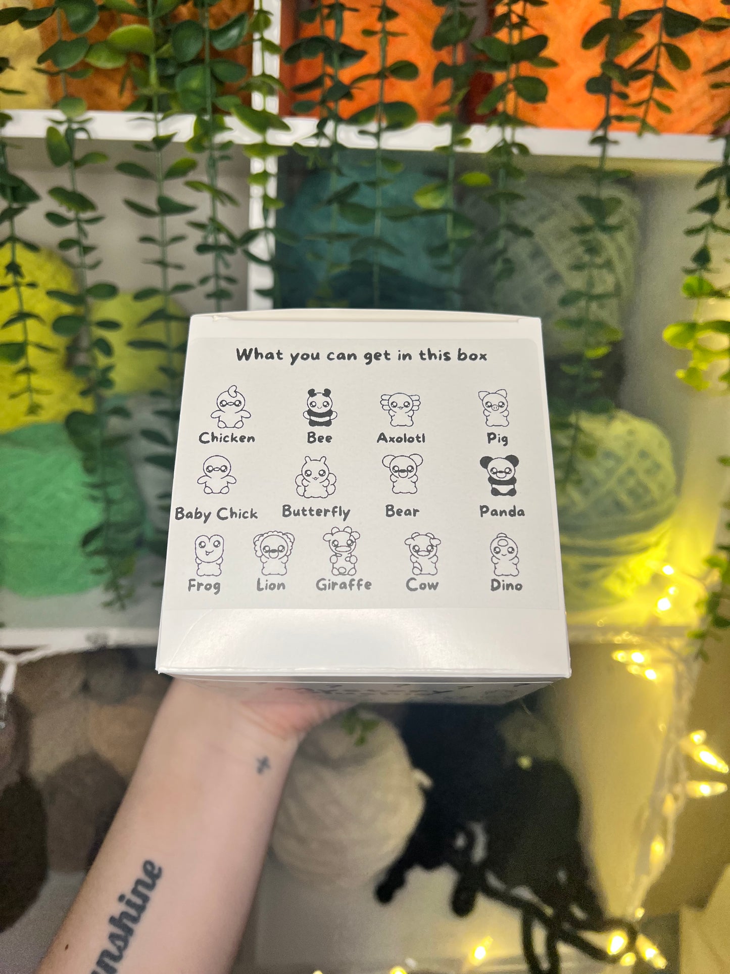 Mystery Plushies Box