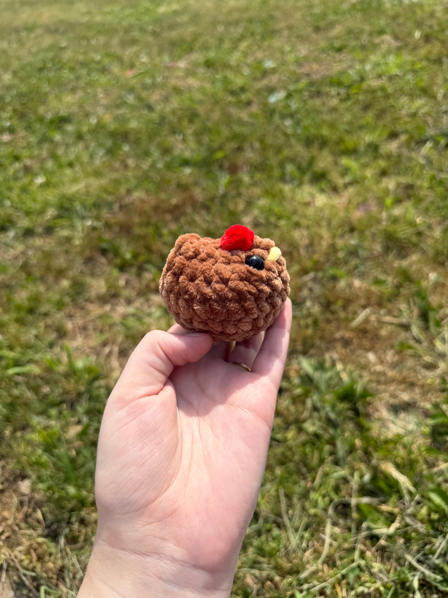 Mini Chickens