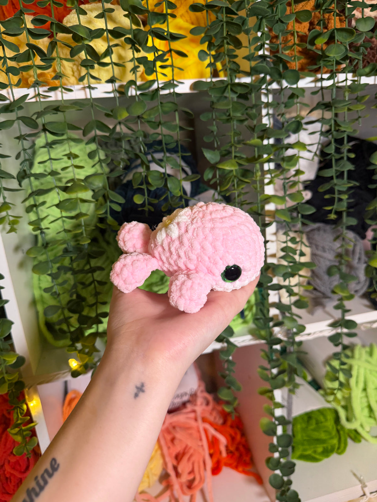 Daisy Whale