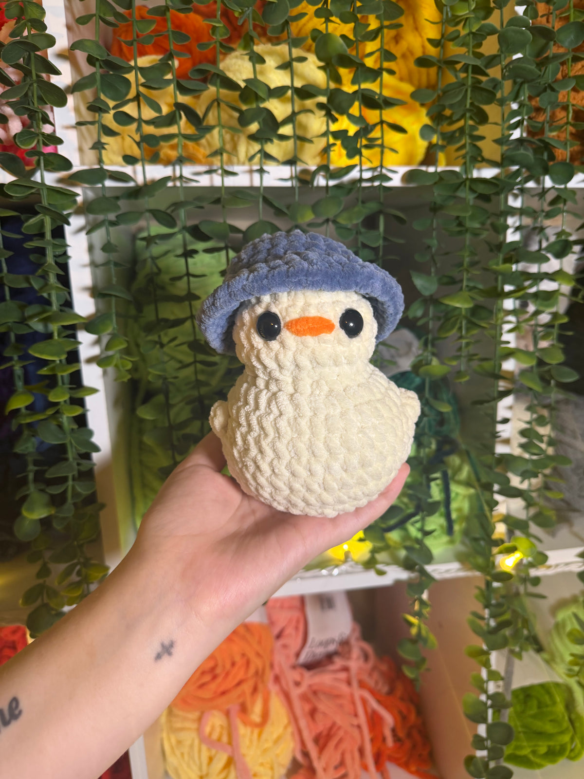 Chonky Duck With Removable Hat